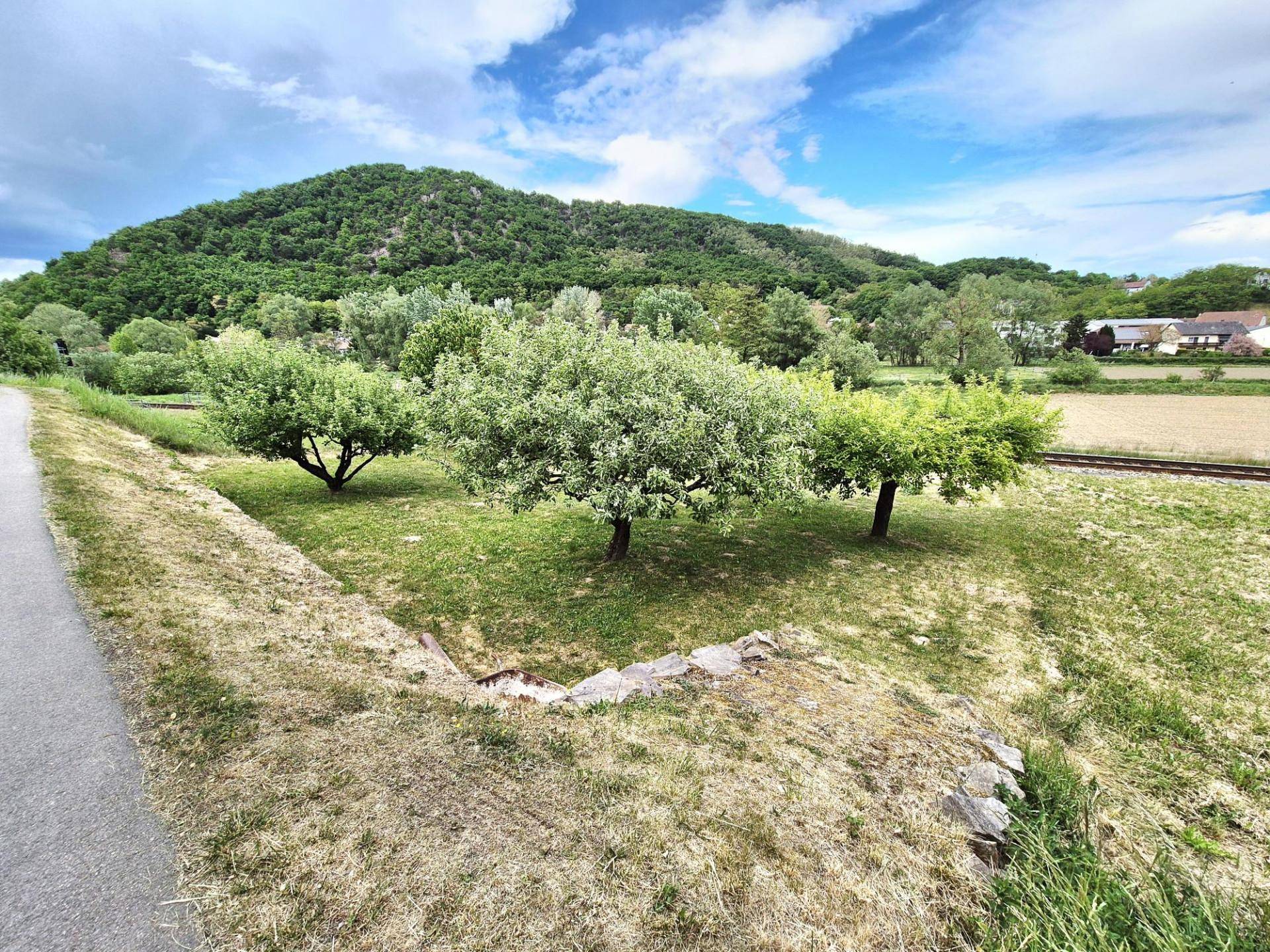 Grüne Landschaft mit Bäumen, einem Weg und einem bewaldeten Hügel im Hintergrund unter blauem Himmel.