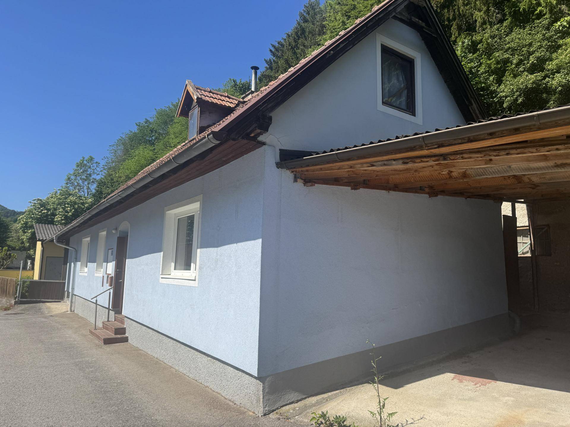 Seitenansicht des Hauses mit blauer Fassade, Ziegeldach und einem überdachten Carport.