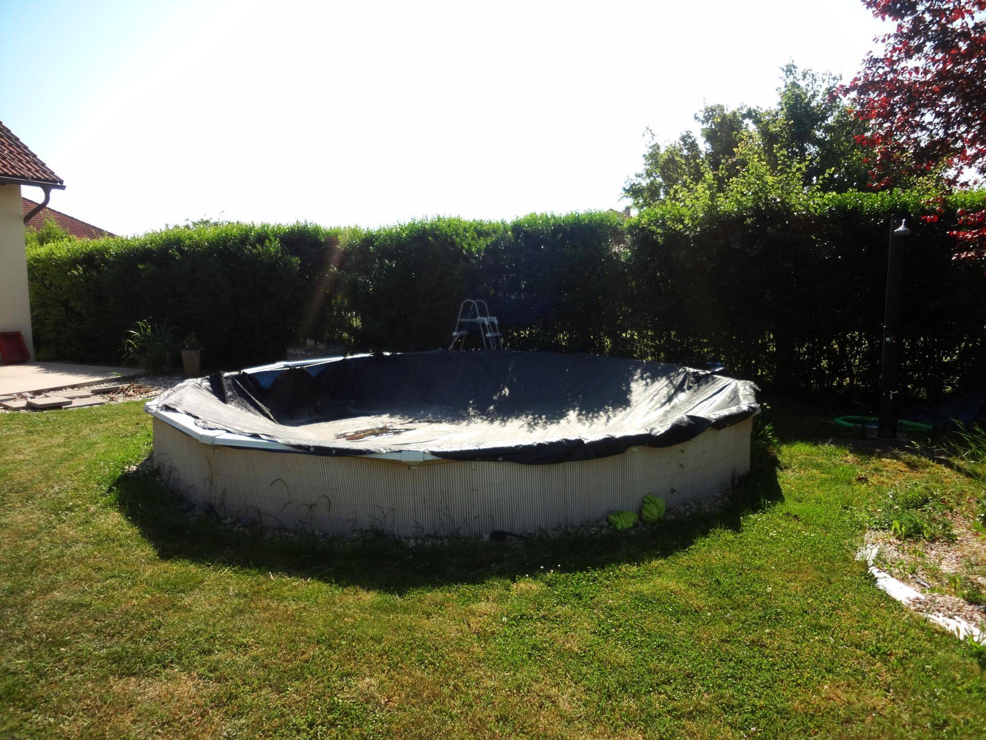 Garten mit einem großen, oberirdischen Pool und einer dichten Hecke im Hintergrund.