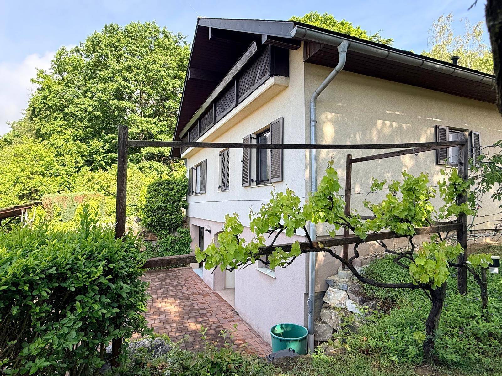 Seitenansicht des Hauses mit Weinreben und einem gepflegten Gartenbereich.