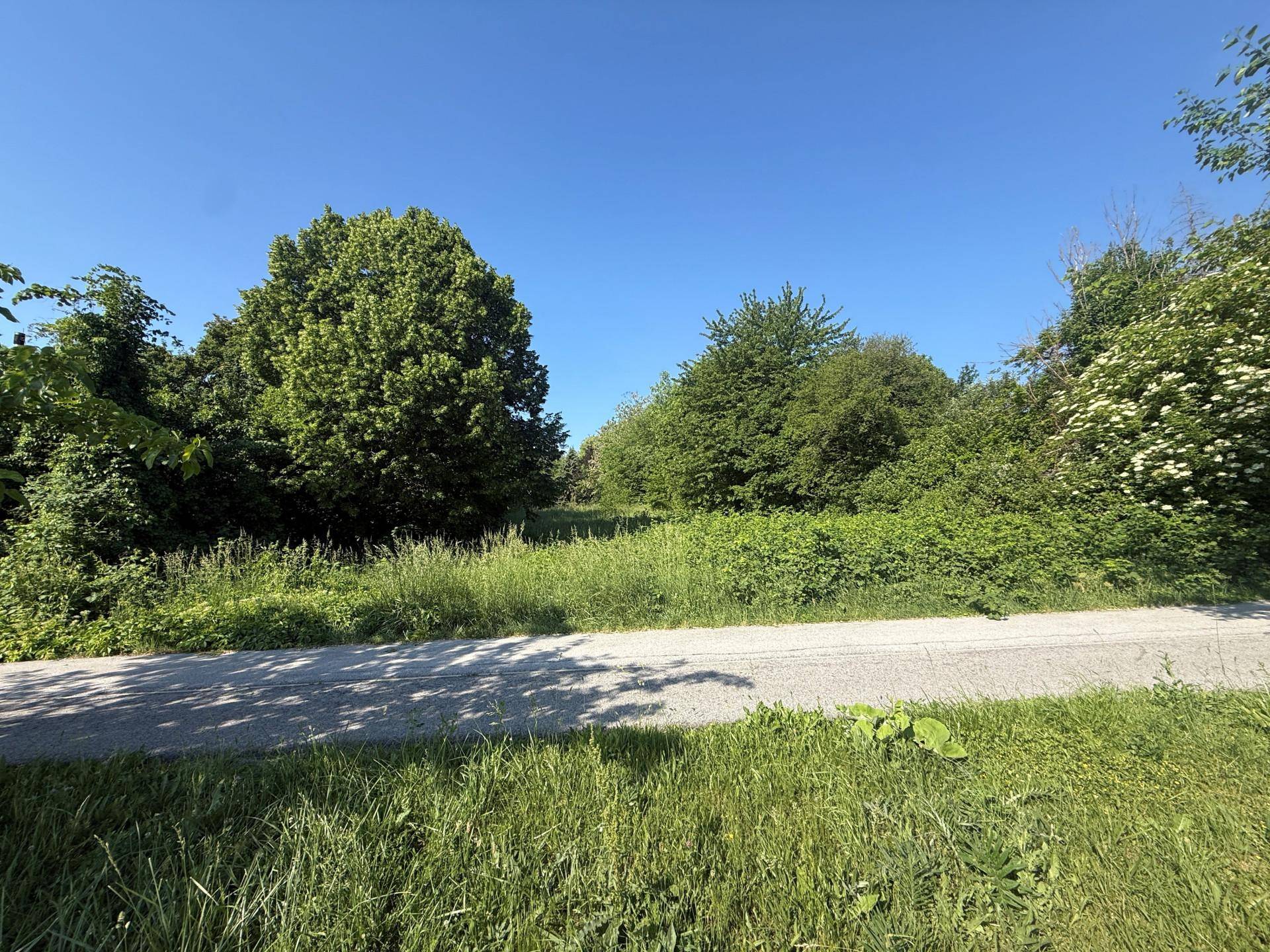 Naturbelassenes Grundstück mit hohem Gras und dichten Bäumen, umgeben von einer ruhigen Landschaft.