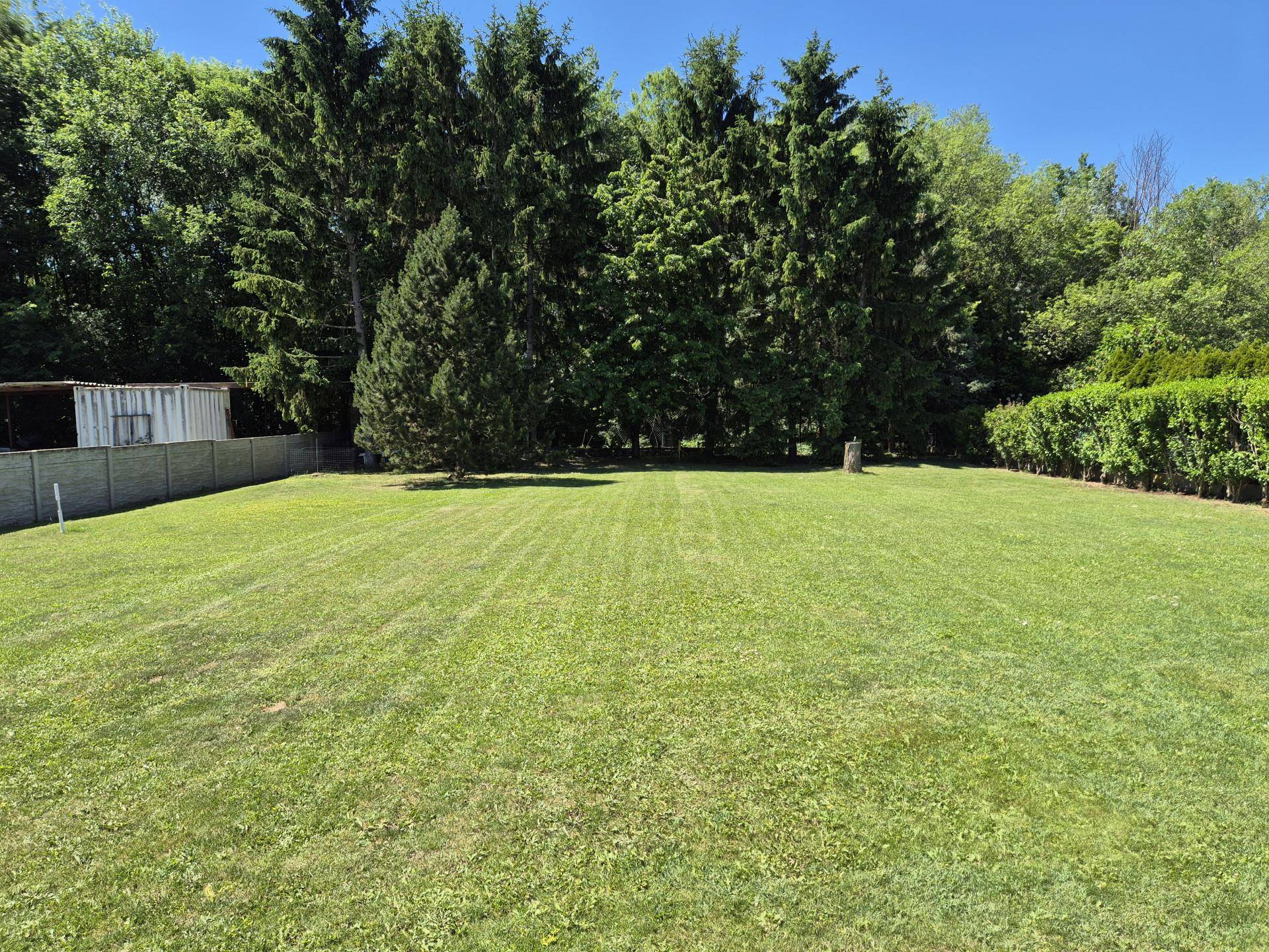 Weitläufiger Gartenbereich mit gepflegtem Rasen und altem Baumbestand im Hintergrund.