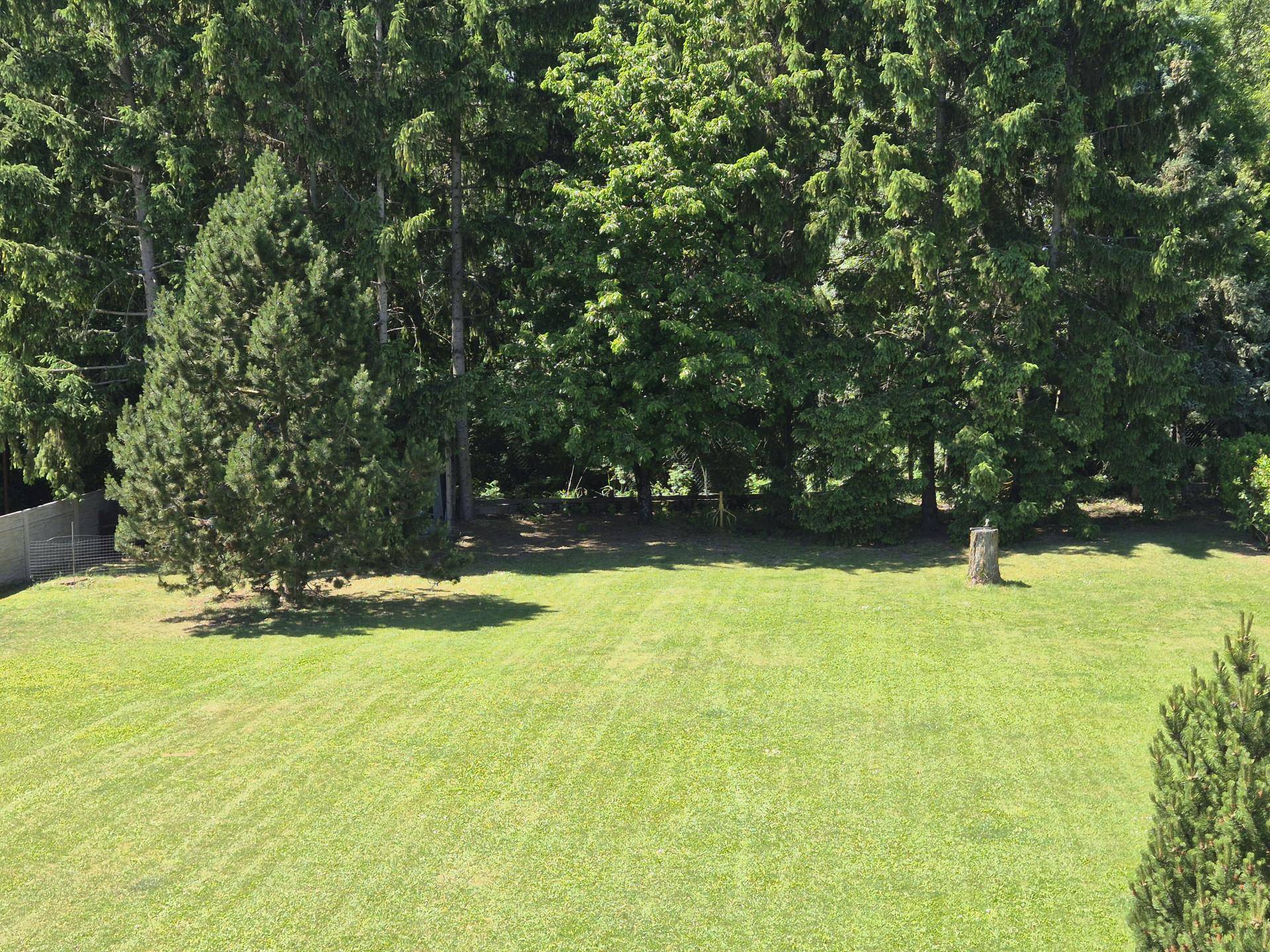 Großer, sonniger Garten mit üppigem Rasen und dichtem Baumbestand am Grundstücksrand.