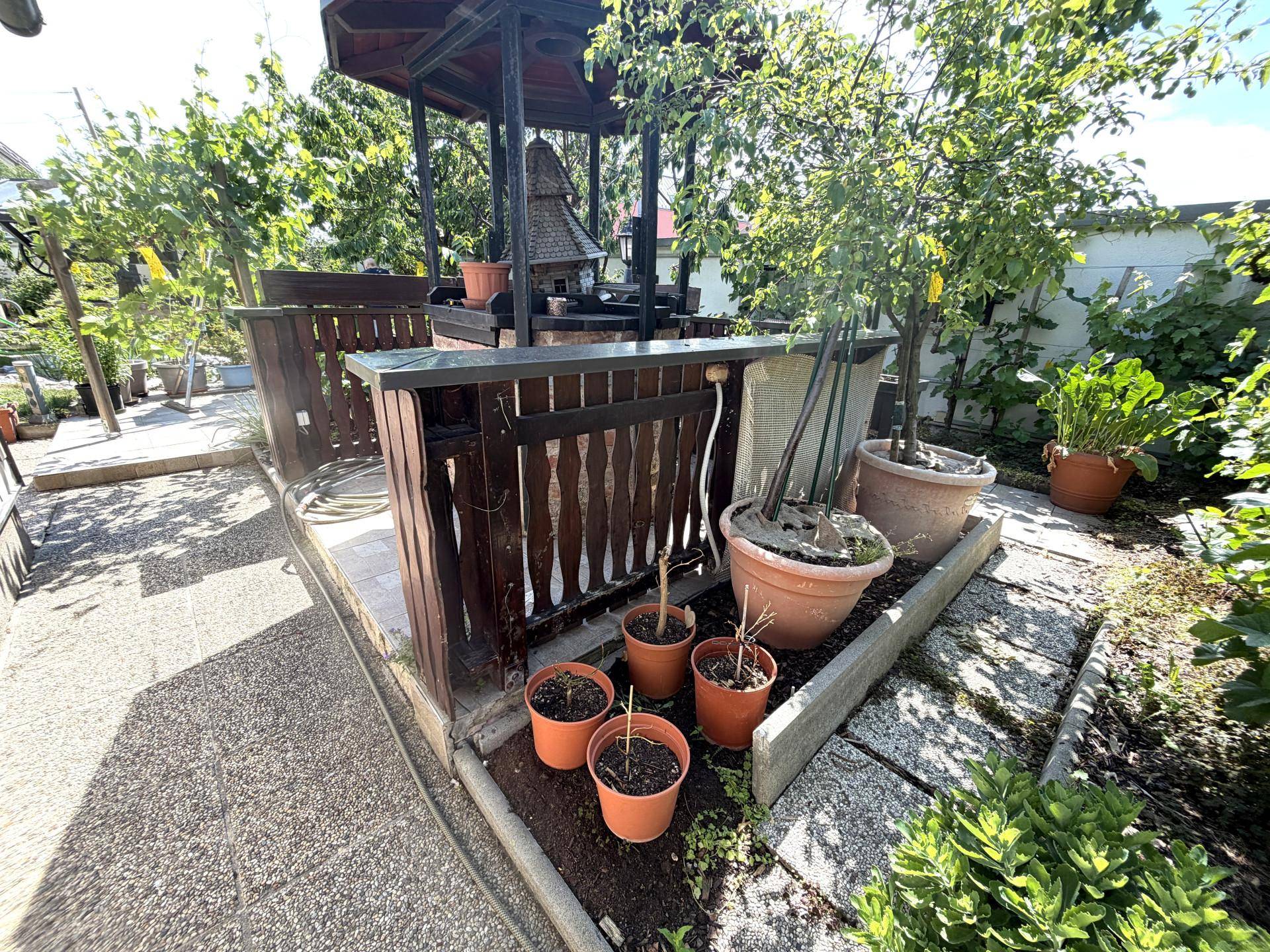 Gartenbereich mit einem dekorativen Brunnen und verschiedenen Topfpflanzen.