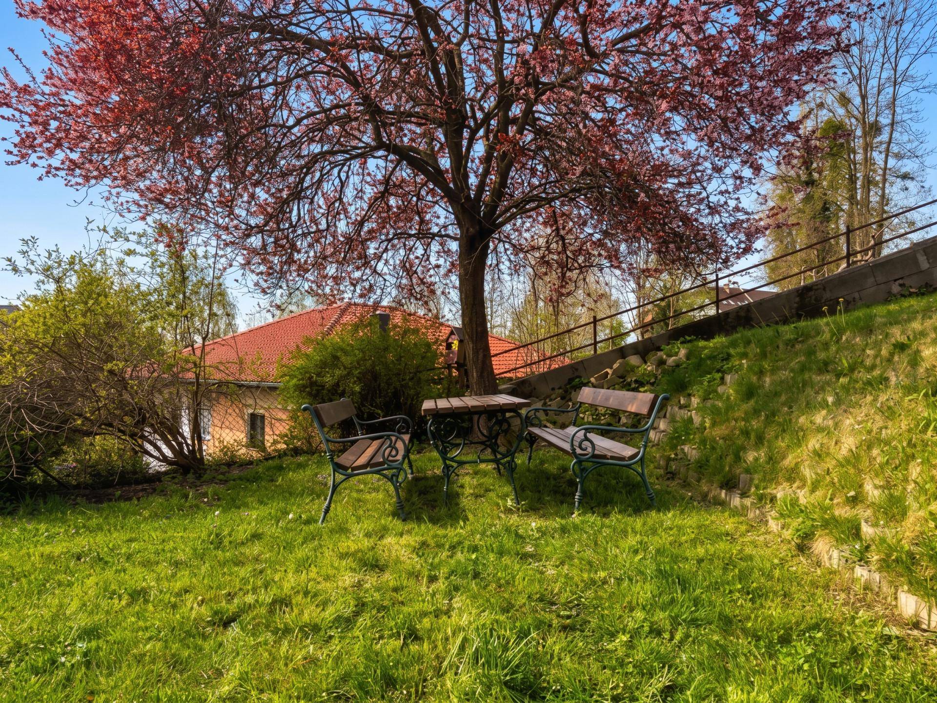 Idyllischer Gartenbereich mit Sitzgruppe unter einem blühenden Baum und Blick auf die Umgebung.