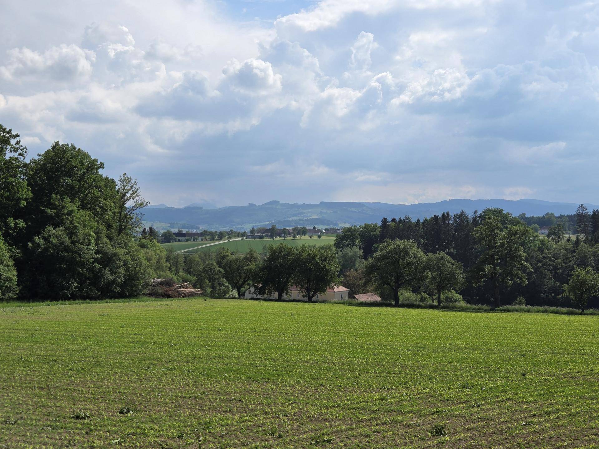 Malerischer Ausblick über weite grüne Felder und sanfte Hügel unter einem bewölkten Himmel.
