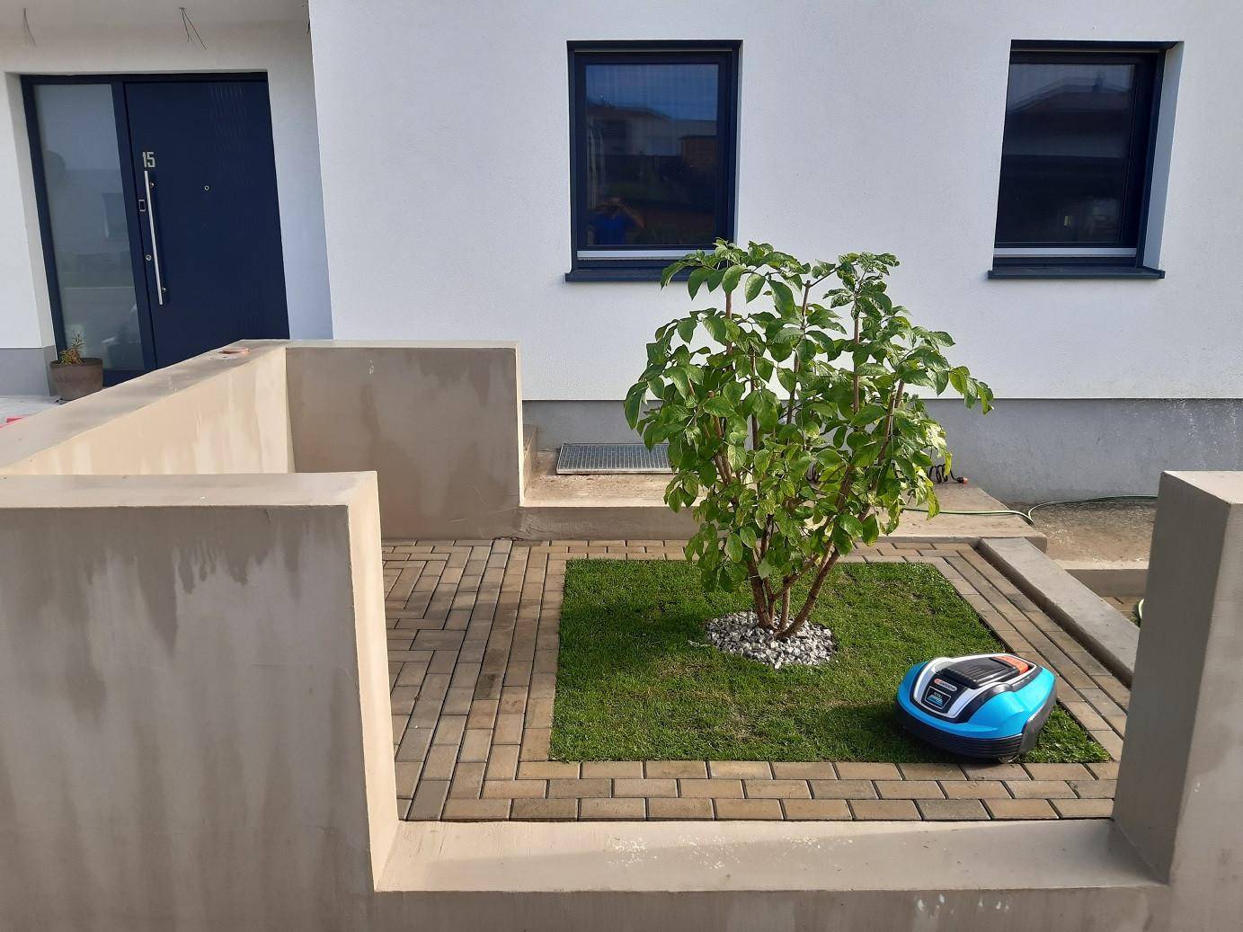 Kleiner, gepflegter Vorgarten mit jungem Baum, Pflastersteinen und Mähroboter am Hauseingang.