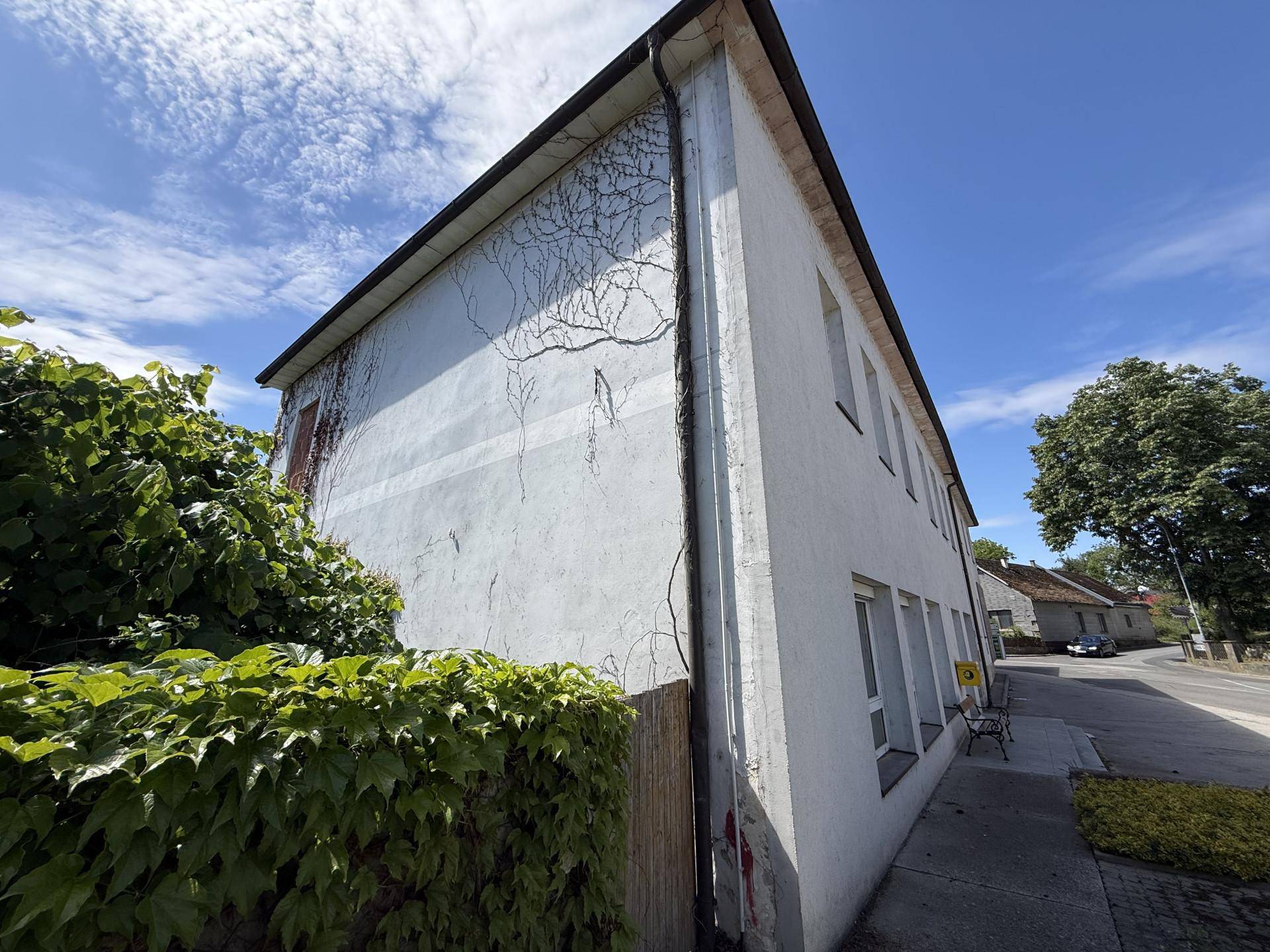 Seitenansicht eines Gebäudes mit weißer Fassade, die von Efeu bewachsen ist, und einer Hecke.