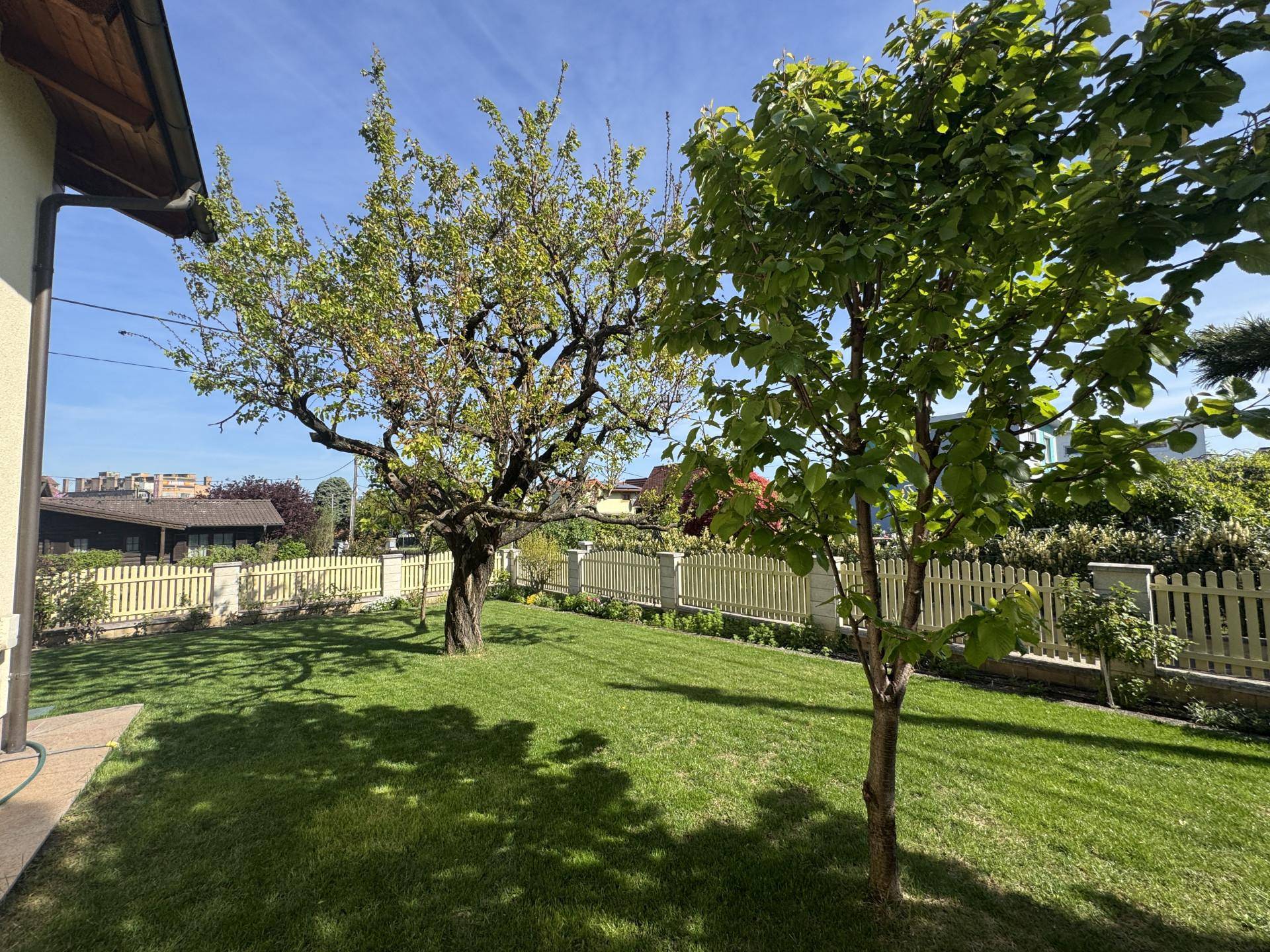 Gepflegter Gartenbereich mit Rasenfläche und Obstbäumen neben dem Haus.