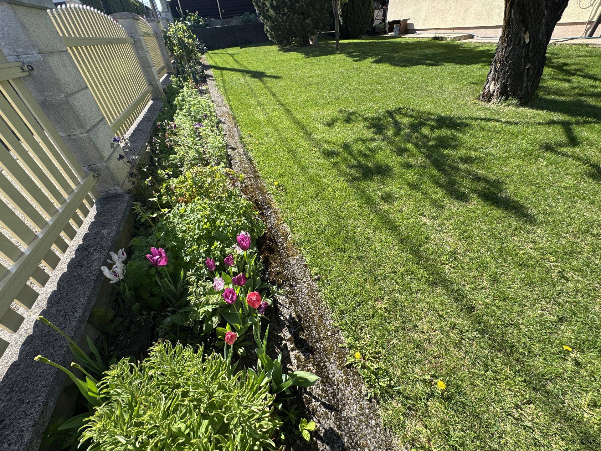 Buntes Blumenbeet entlang des Zauns im gepflegten Garten mit Rasenfläche.
