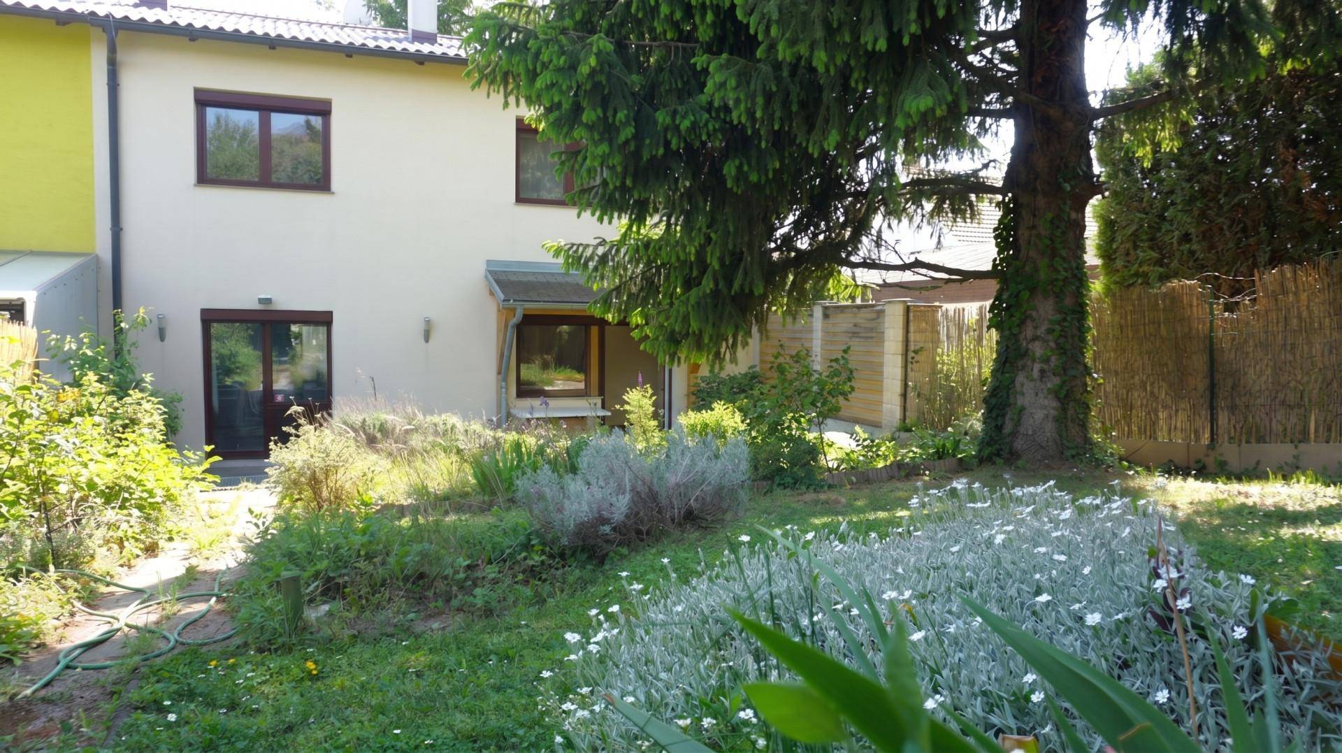 Rückseite des Hauses mit großem Garten, Rasenfläche und altem Baumbestand unter blauem Himmel.
