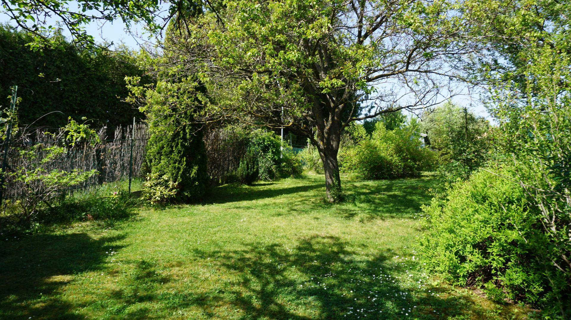 Großer, gepflegter Garten mit Rasenfläche und altem Baumbestand an einem sonnigen Tag.