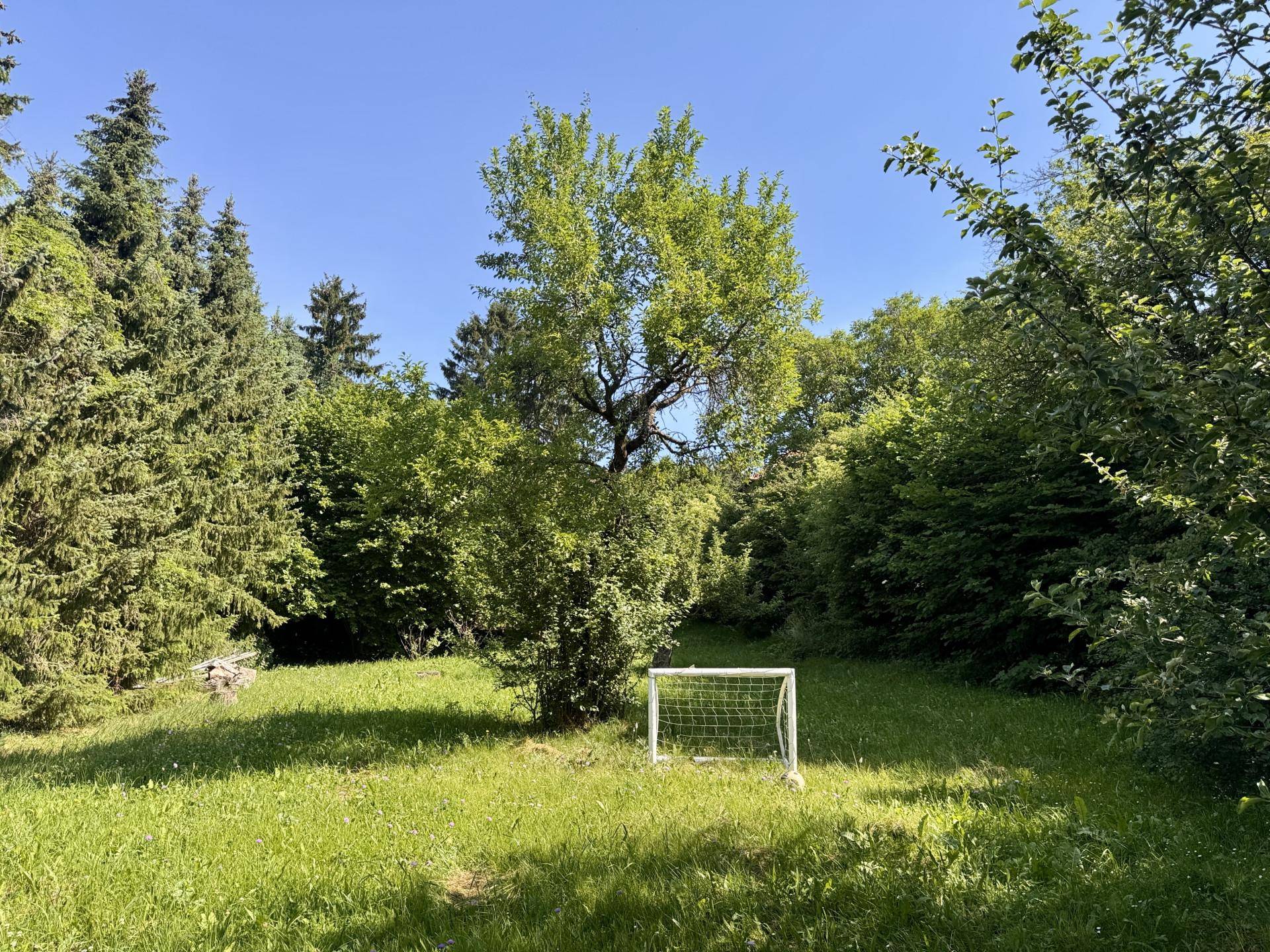 Große Rasenfläche im Garten mit einem kleinen Fußballtor, umgeben von Bäumen und Büschen.