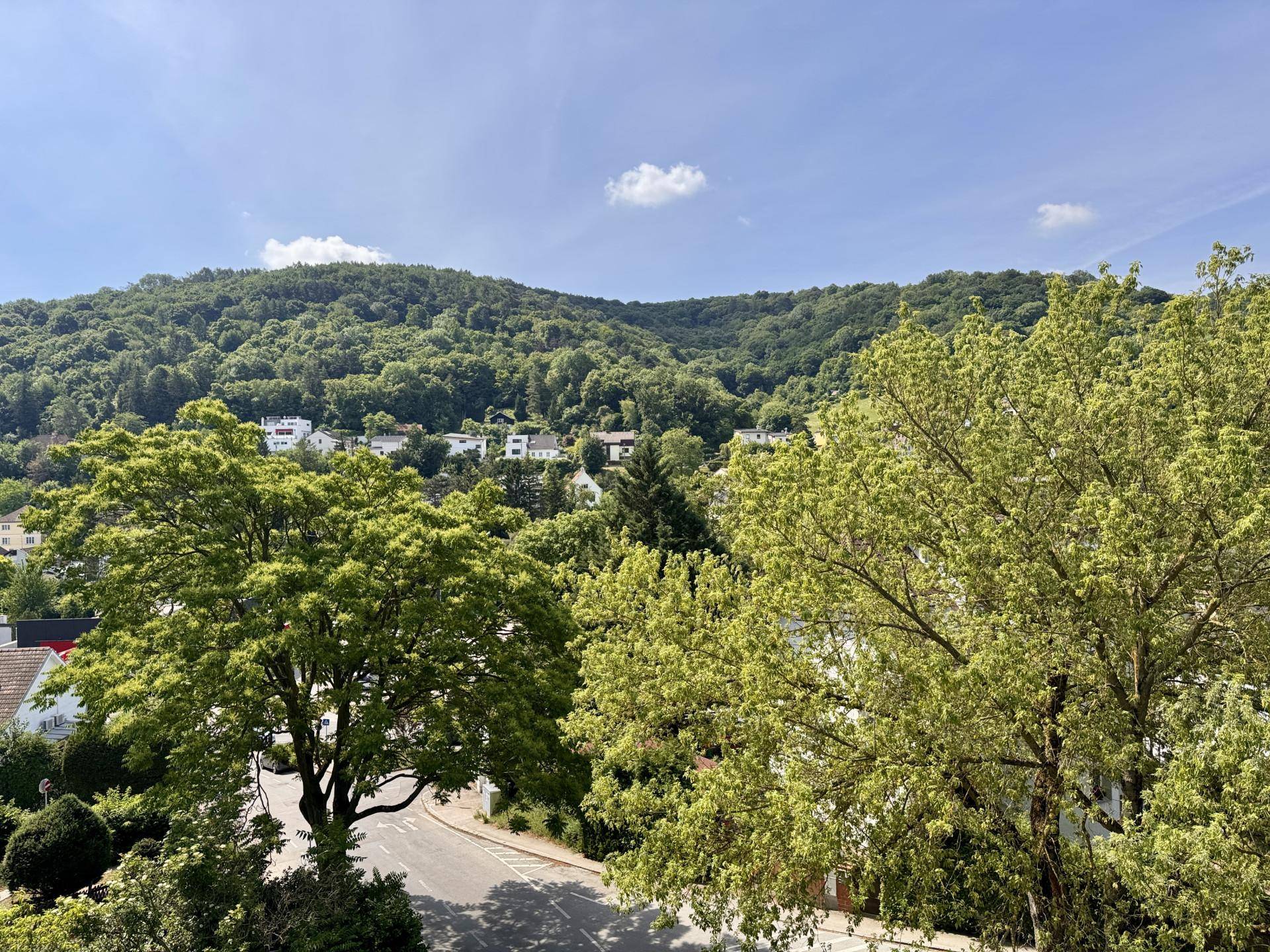 Panoramablick über bewaldete Hügel und die umliegende Wohnsiedlung unter blauem Himmel.