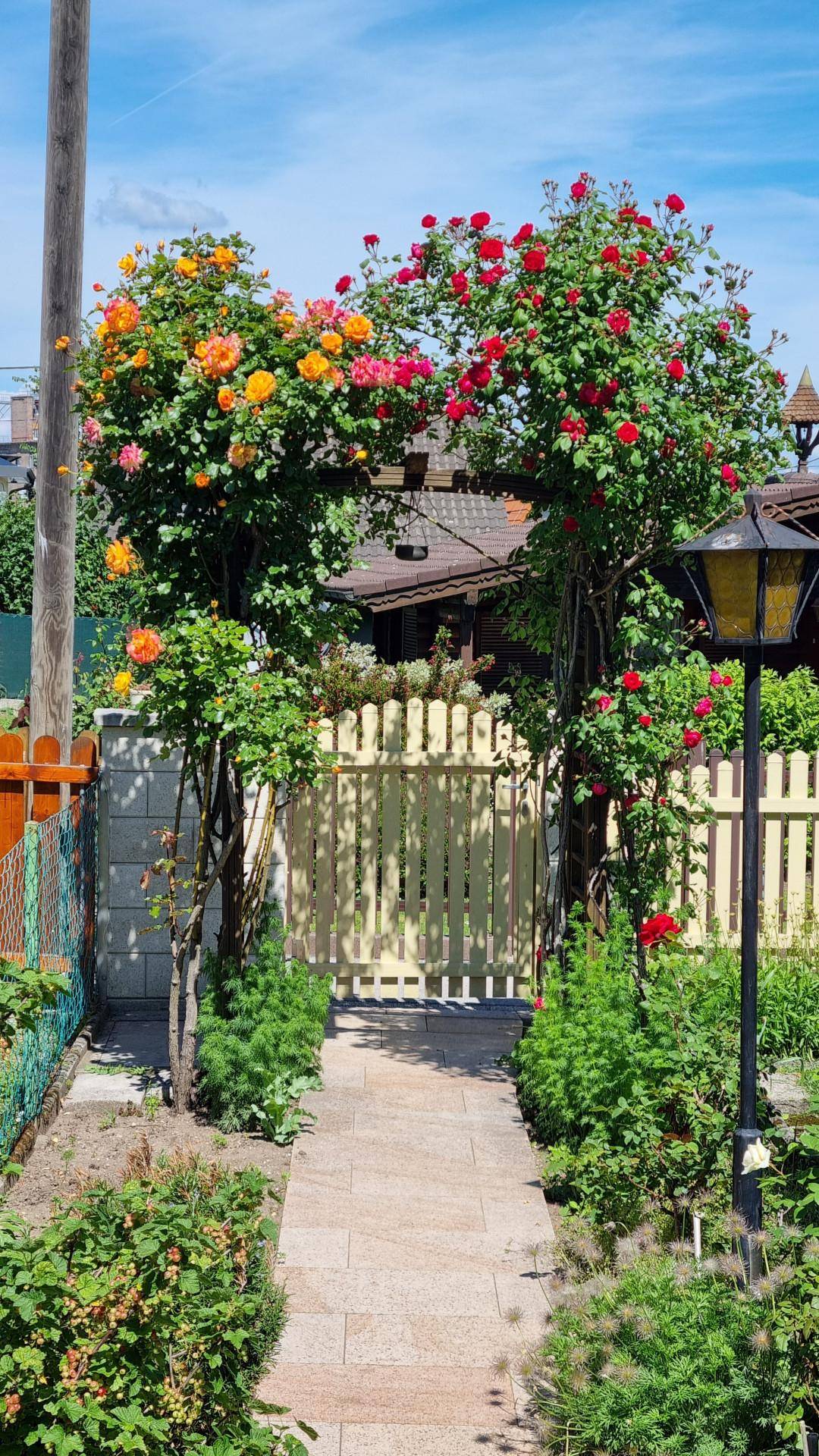 Malerischer Gartenweg mit blühenden Rosenbögen und traditionellem Gartentor.