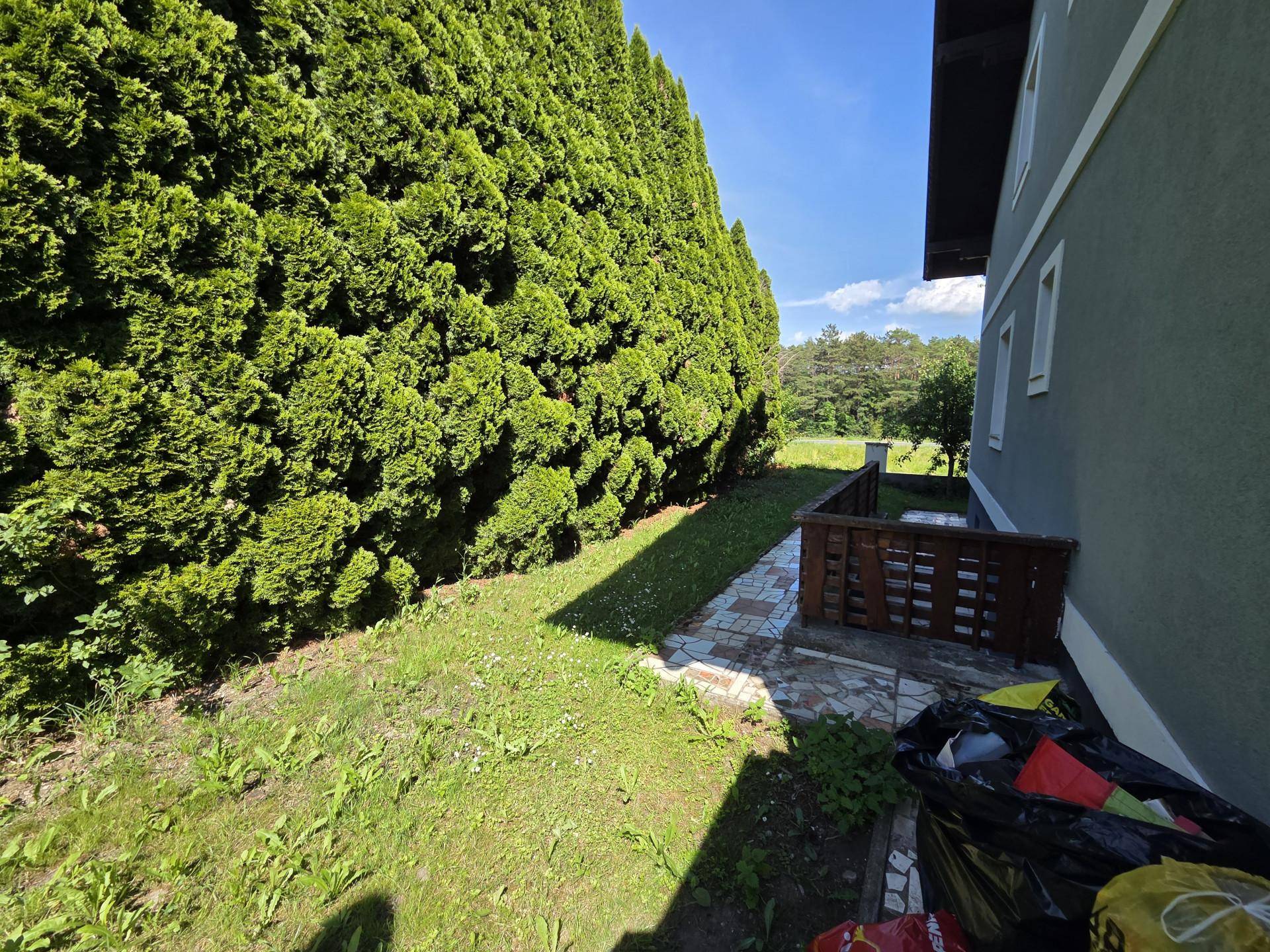 Gepflegter Gartenbereich neben dem Haus mit hoher Hecke und sonnigem Rasen.