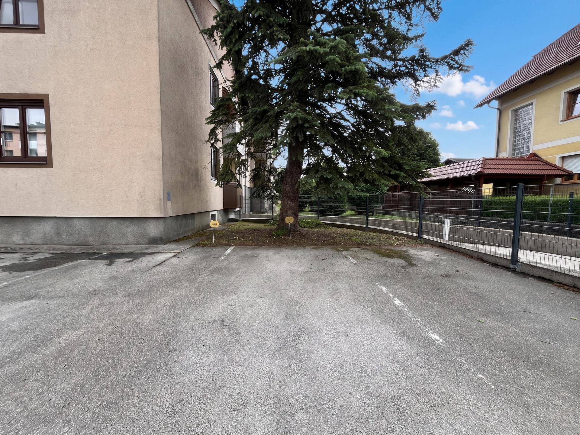Außenparkplätze neben dem Wohngebäude mit einem großen Baum und angrenzendem Zaun.