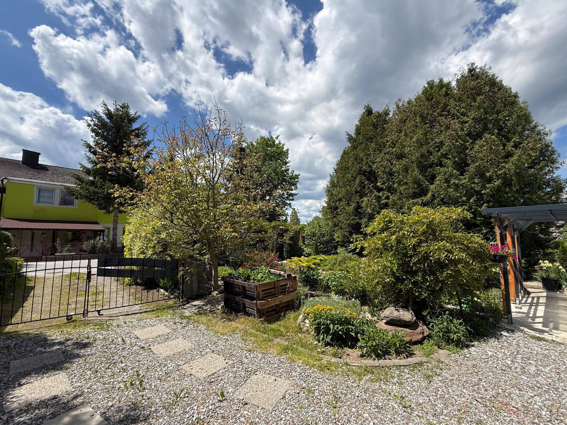 Eingangsbereich zum Garten mit Kiesweg, Pflanzen und einem Holzzaun im Hintergrund.