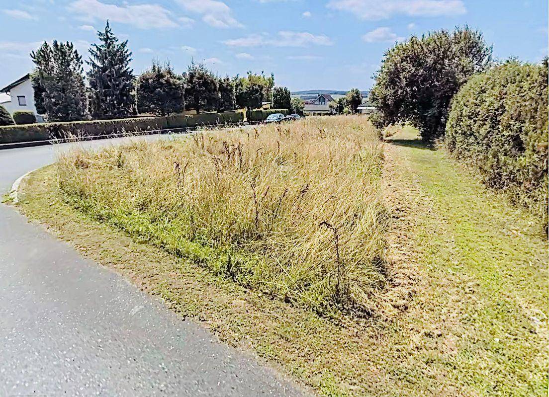 Ebenes Baugrundstück in Ortsrandlage - Ansicht 2