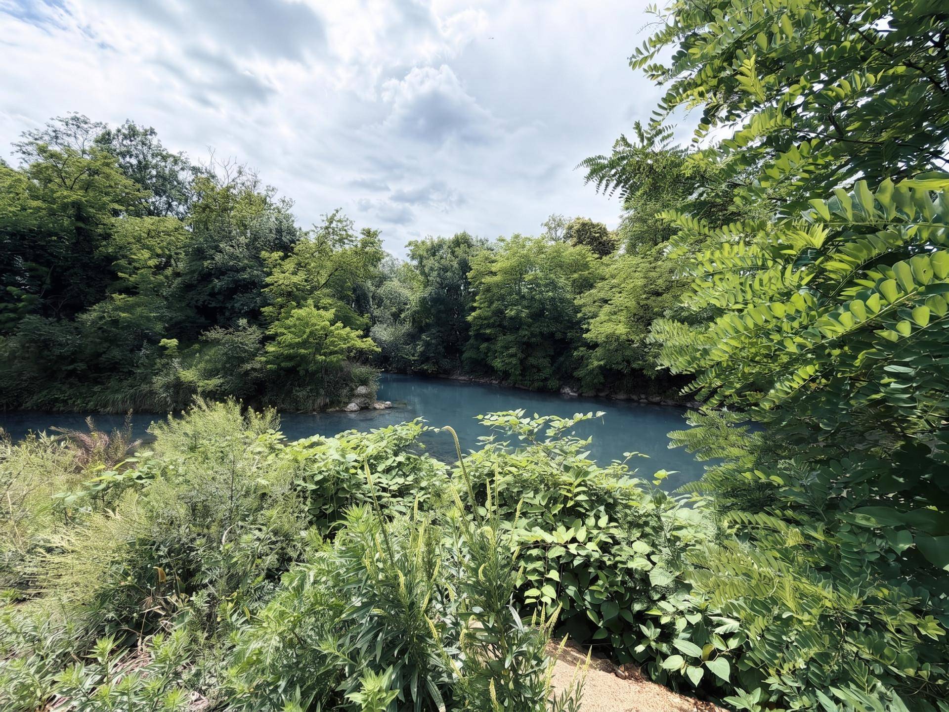 Malerischer Blick auf einen kleinen See oder Teich, umgeben von üppiger Vegetation.