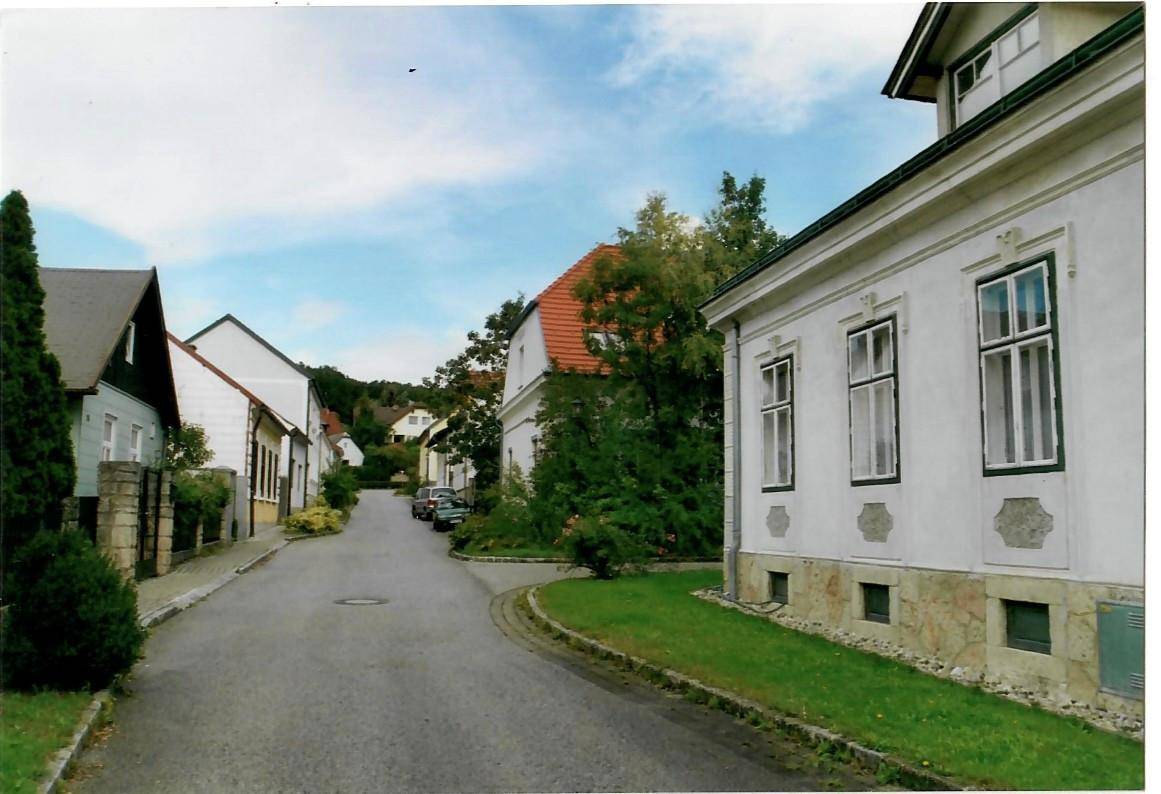 Ruhige Wohnstraße mit traditionellen Häusern und viel Grün in der Umgebung.