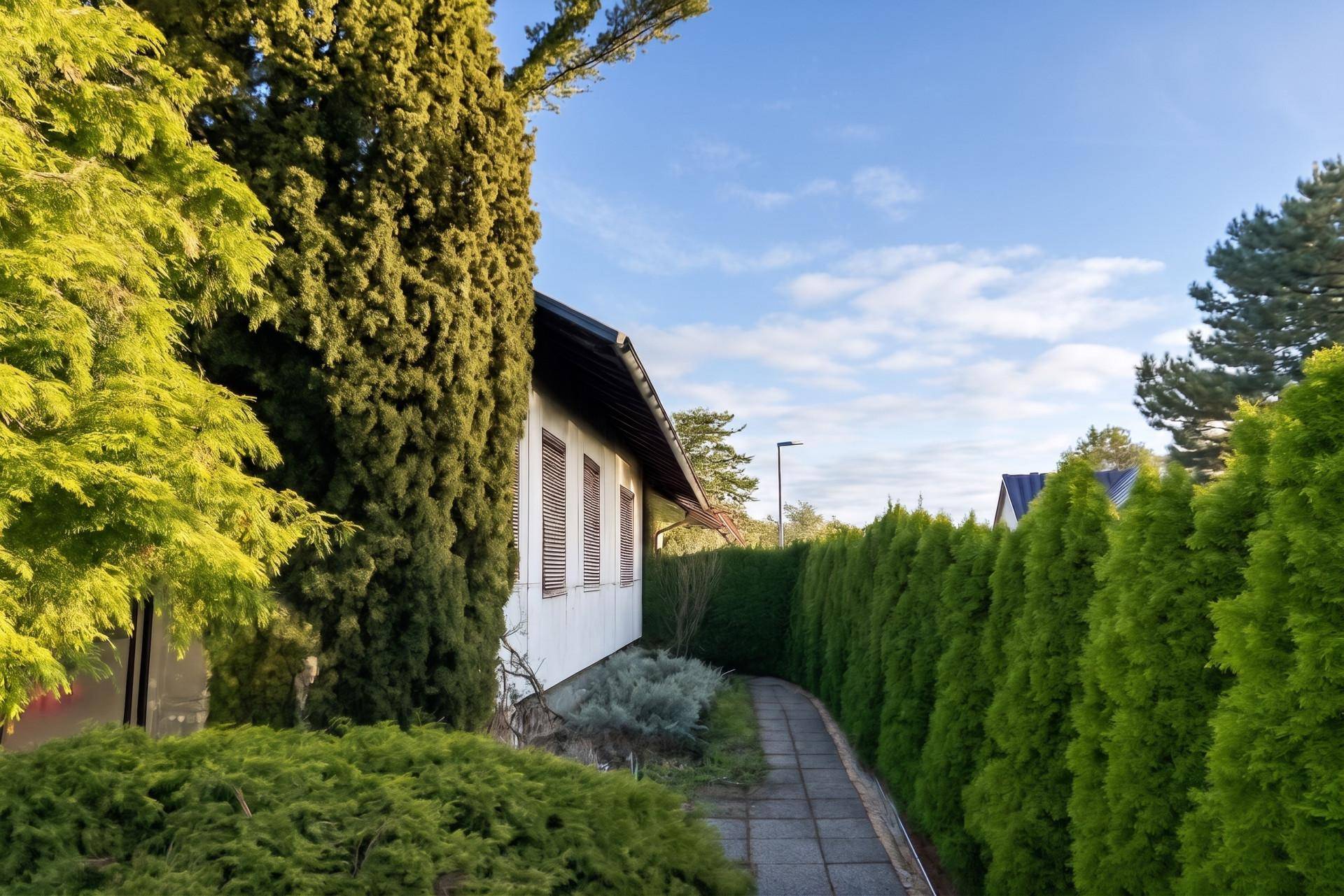 Seitenansicht des Hauses mit einem schmalen Weg, umgeben von hohen Hecken und Bäumen.