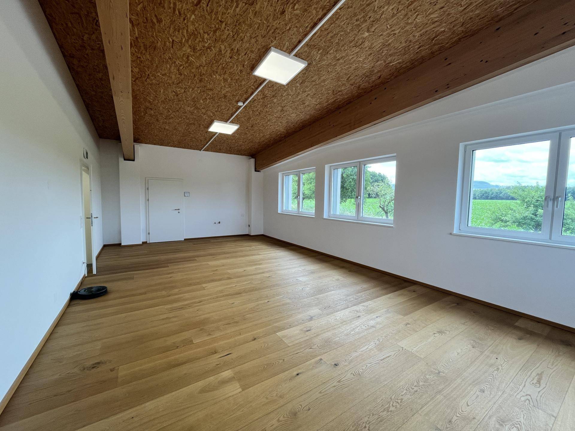 Geräumiger, heller Raum mit Holzboden und OSB-Decke, bietet durch die Fenster einen schönen Blick ins Grüne.