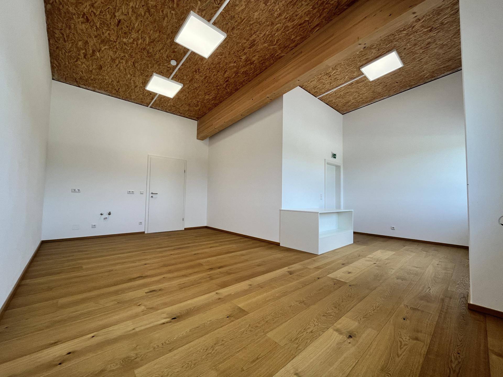 Leerer Raum mit Holzboden und OSB-Decke, featuring eine weiße Trennwand und viel natürliches Licht.