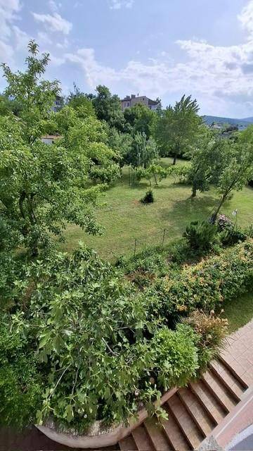 Panoramablick auf einen weitläufigen Garten mit vielen Bäumen und Grünflächen von einer Terrasse.