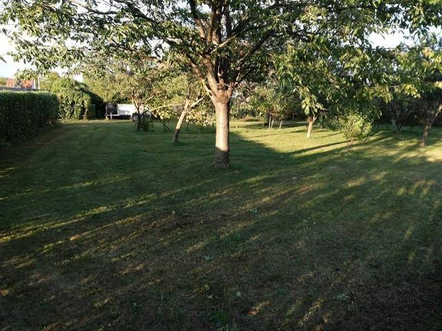 Weitläufiger Garten mit Rasen, schattenspendenden Bäumen und einer Hecke im Hintergrund.