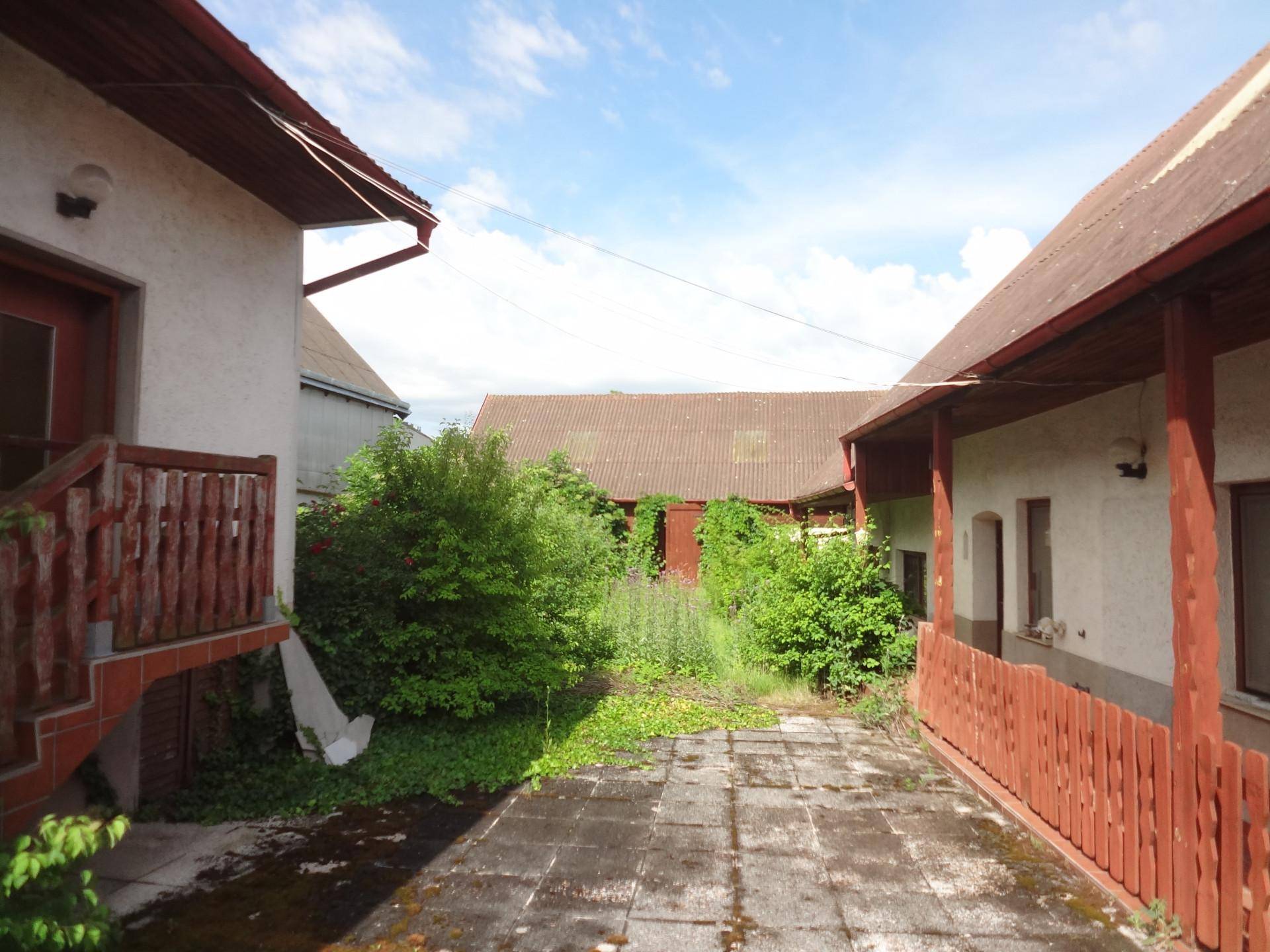 Überwachsener Hinterhof mit Betonplatten und alten Gebäuden im Hintergrund.