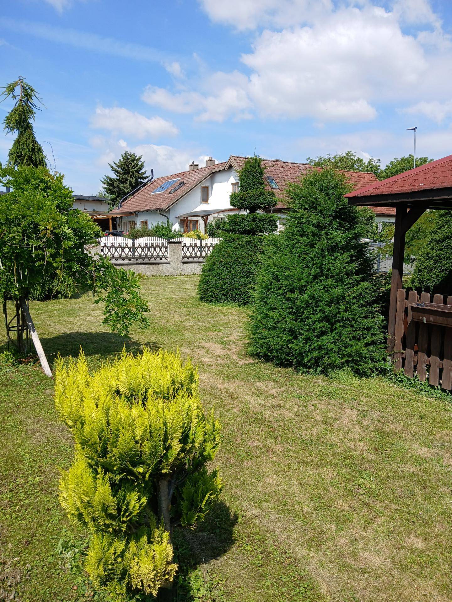 Weitläufiger Garten mit Rasen, verschiedenen Ziersträuchern und Blick auf benachbarte Häuser.