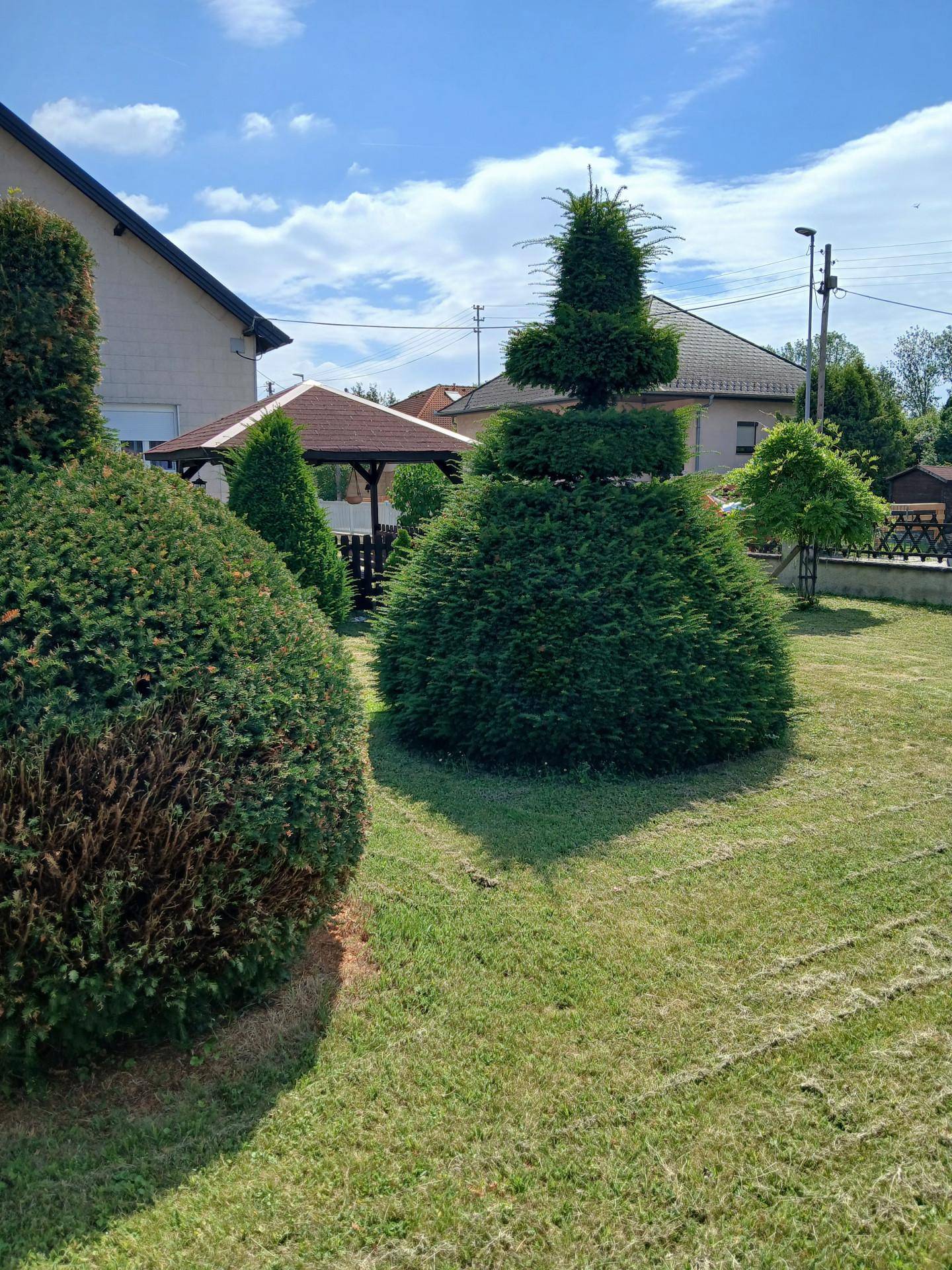 Sonnenbeschienener Gartenbereich mit kunstvoll geschnittenen Sträuchern und einem Pavillon im Hintergrund.