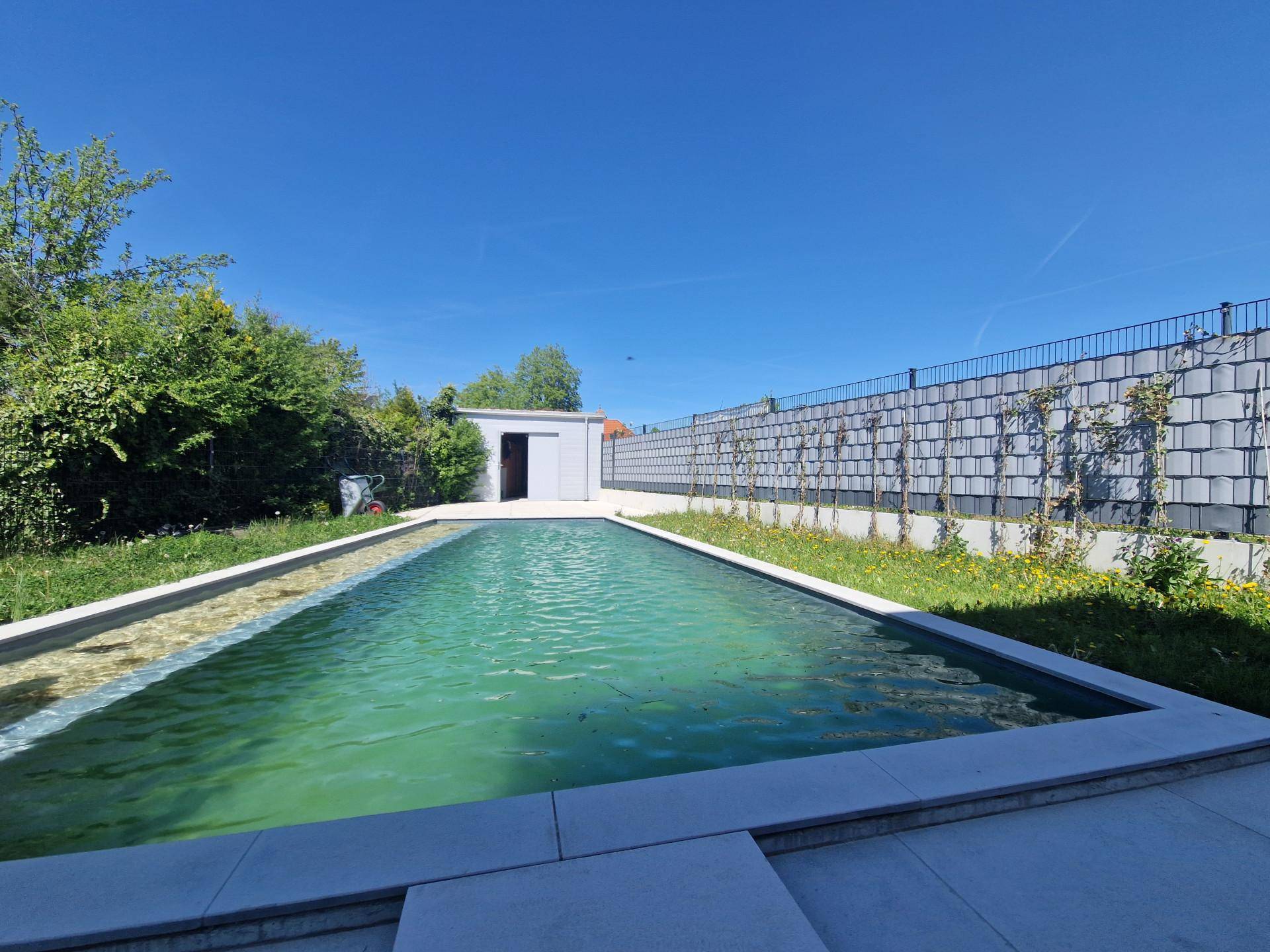 Außenbereich mit langem Swimmingpool, umgeben von Rasenflächen und einem kleinen Gartenhaus.