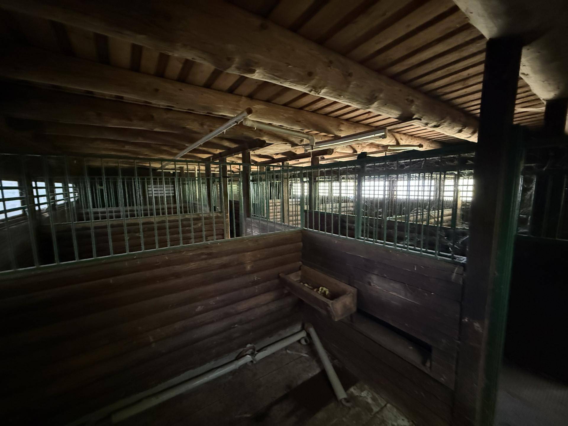 Innenansicht eines Stalls mit Holzwänden, Holzbalkendecke und Futtertrog.