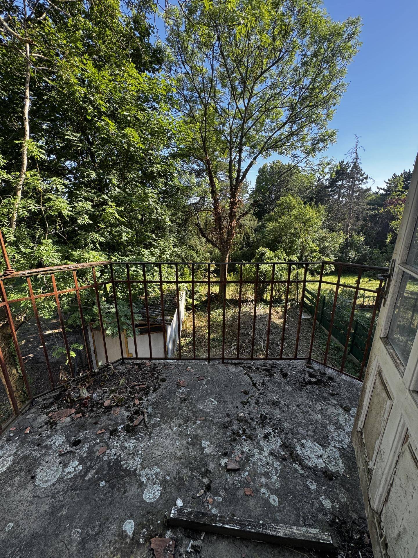 Alter, sanierungsbedürftiger Balkon mit Blick ins Grüne und hohen Bäumen im Gartenbereich.
