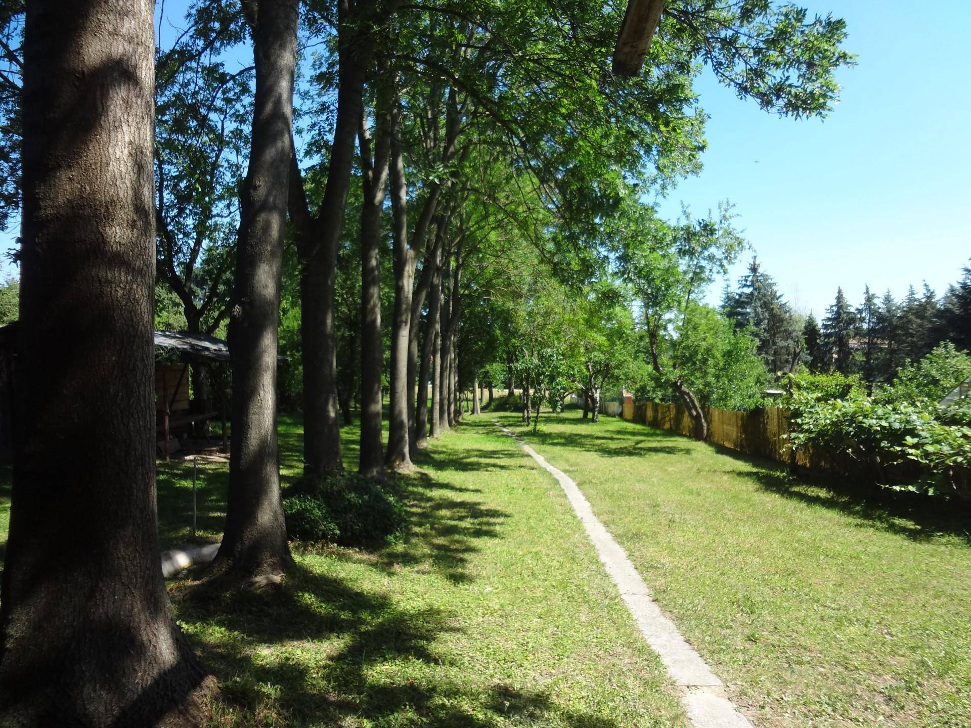 ÄLTERES HAUS - GROSSER GARTEN - SCHEUNE - SCHUPPEN - RUHELAGE - Ansicht 3