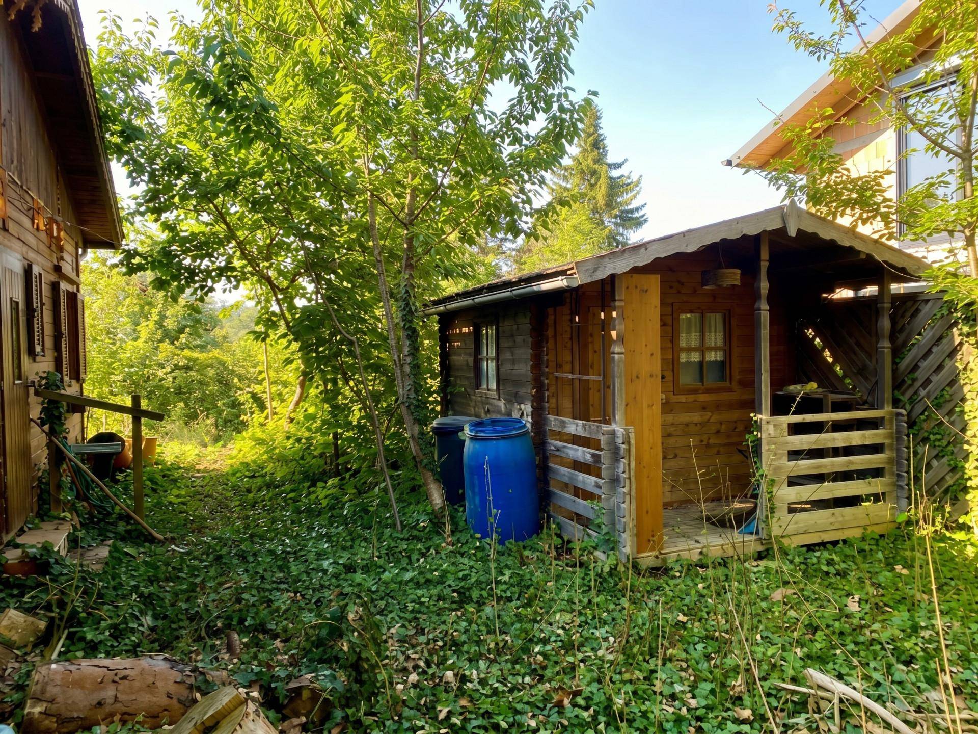 Seitenansicht des Holzhauses mit einem Nebengebäude und üppiger Vegetation im Garten.