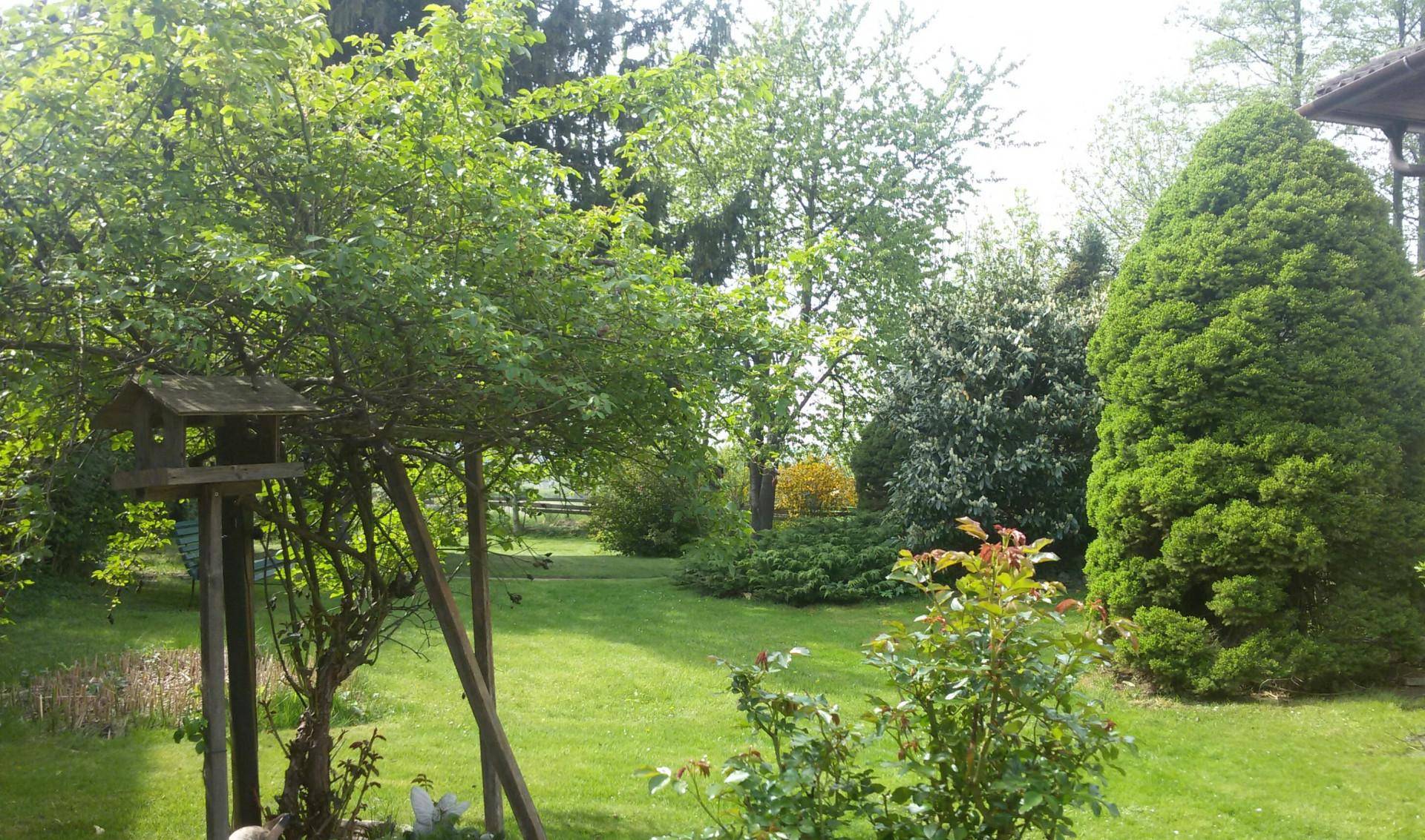 Großer, grüner Garten mit altem Baumbestand, Sträuchern und einem Vogelhäuschen.