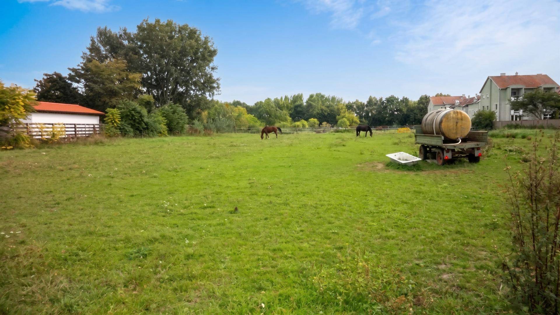 Weitläufige grüne Weide mit grasenden Pferden und einem Wassertank auf einem Anhänger.