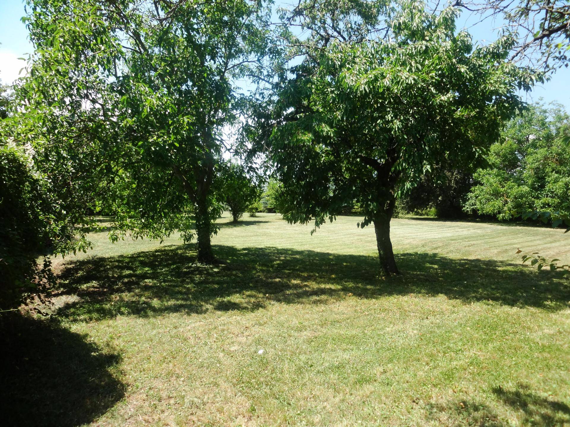Weitläufiger Gartenbereich mit altem Baumbestand und gepflegter Rasenfläche unter blauem Himmel.