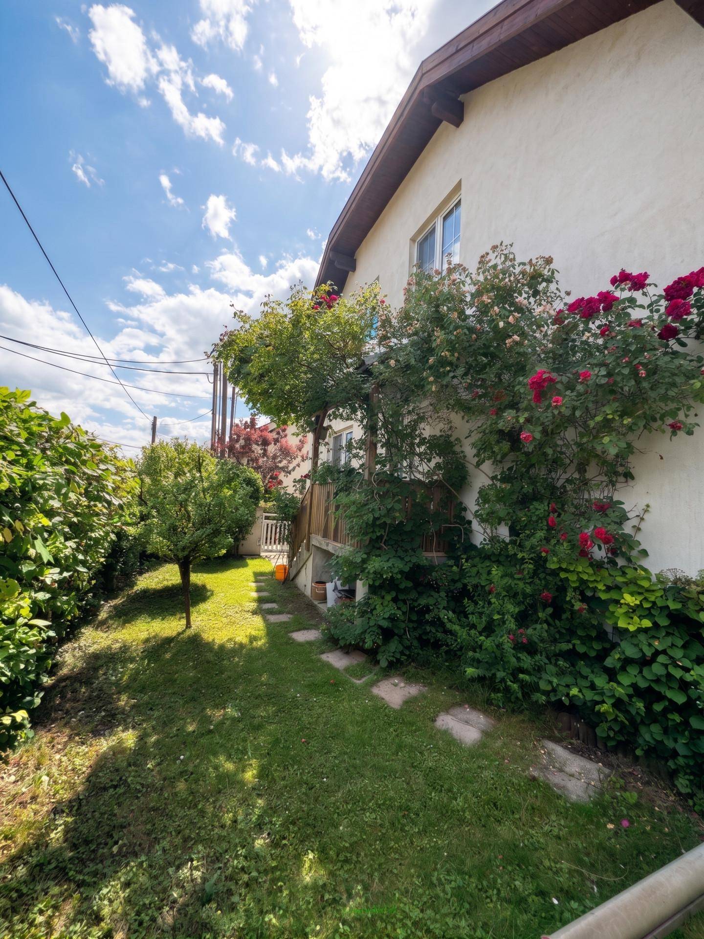 Seitlicher Gartenweg mit Trittsteinen, umgeben von üppigem Grün und blühenden Rosen.