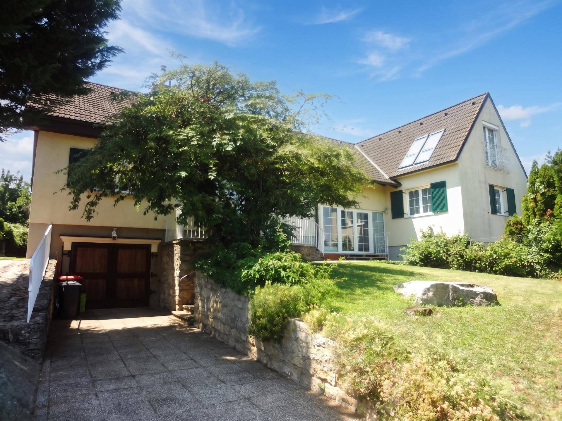 Seitenansicht des Hauses mit integrierter Garage, Auffahrt und Gartenbereich.