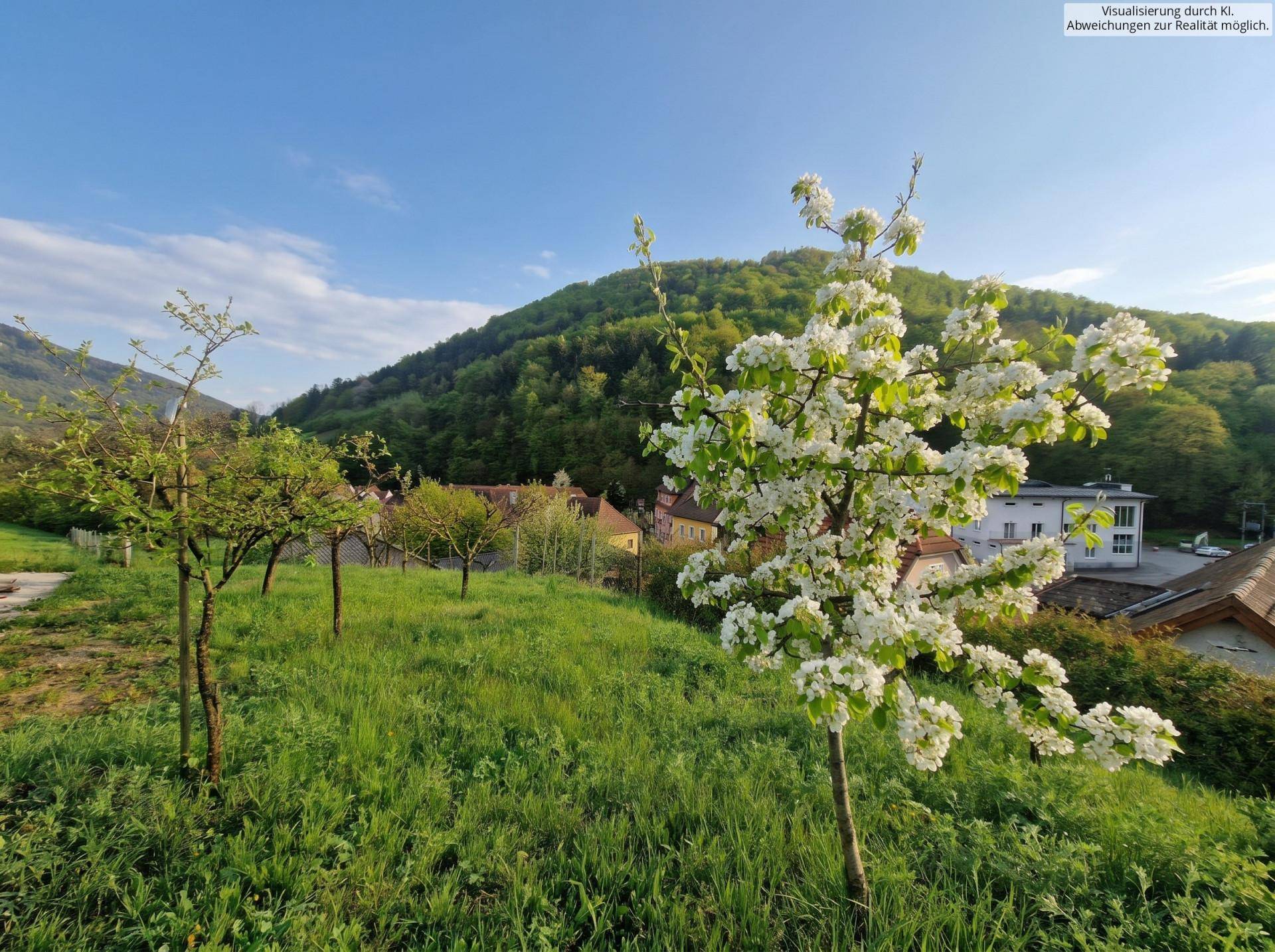 Malerische Landschaft mit blühenden Bäumen und Blick auf die umliegenden Häuser und bewaldeten Hügel.
