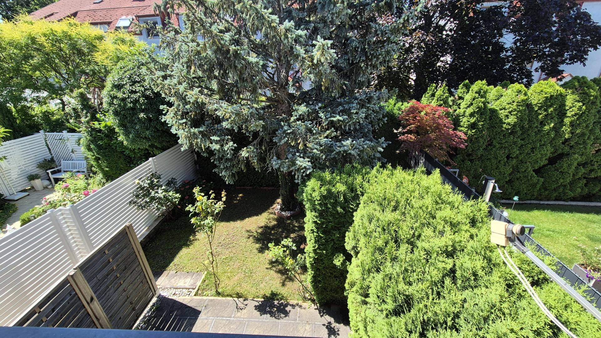Gepflegter Gartenbereich mit altem Baumbestand, Rasenfläche und hohen Hecken.