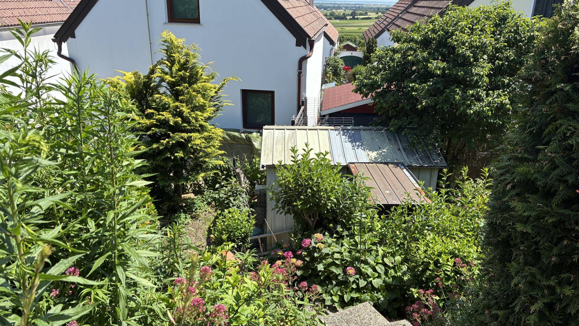 Herziges Häuschen mit Blick zum Neusiedlersee ! - Ansicht 5