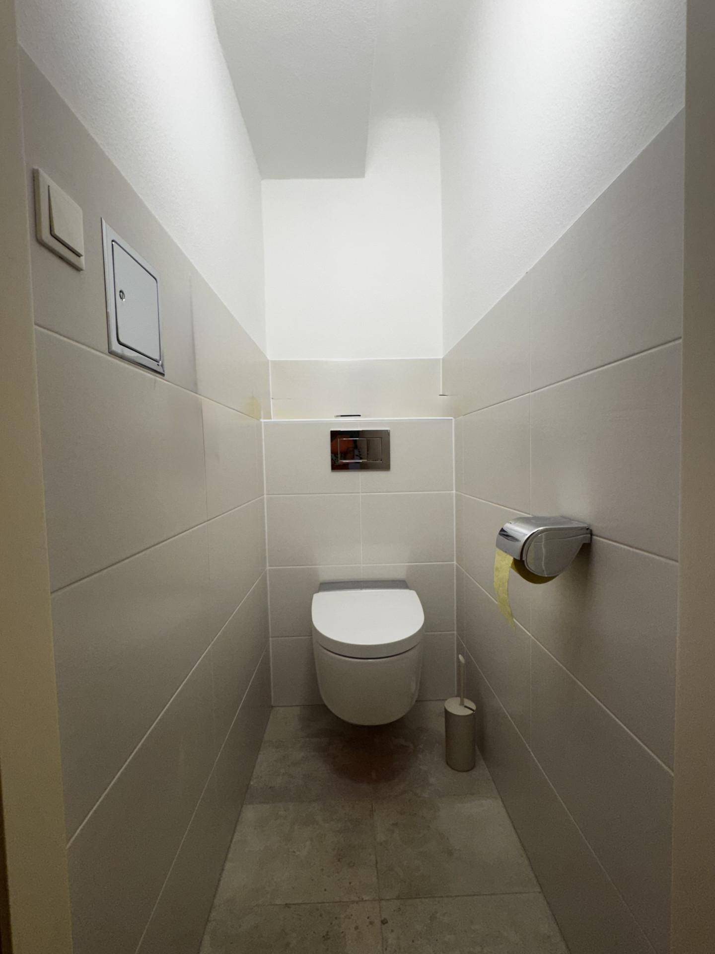 Kleines Gäste-WC mit wandhängender Toilette und modernen Fliesen an den Wänden.