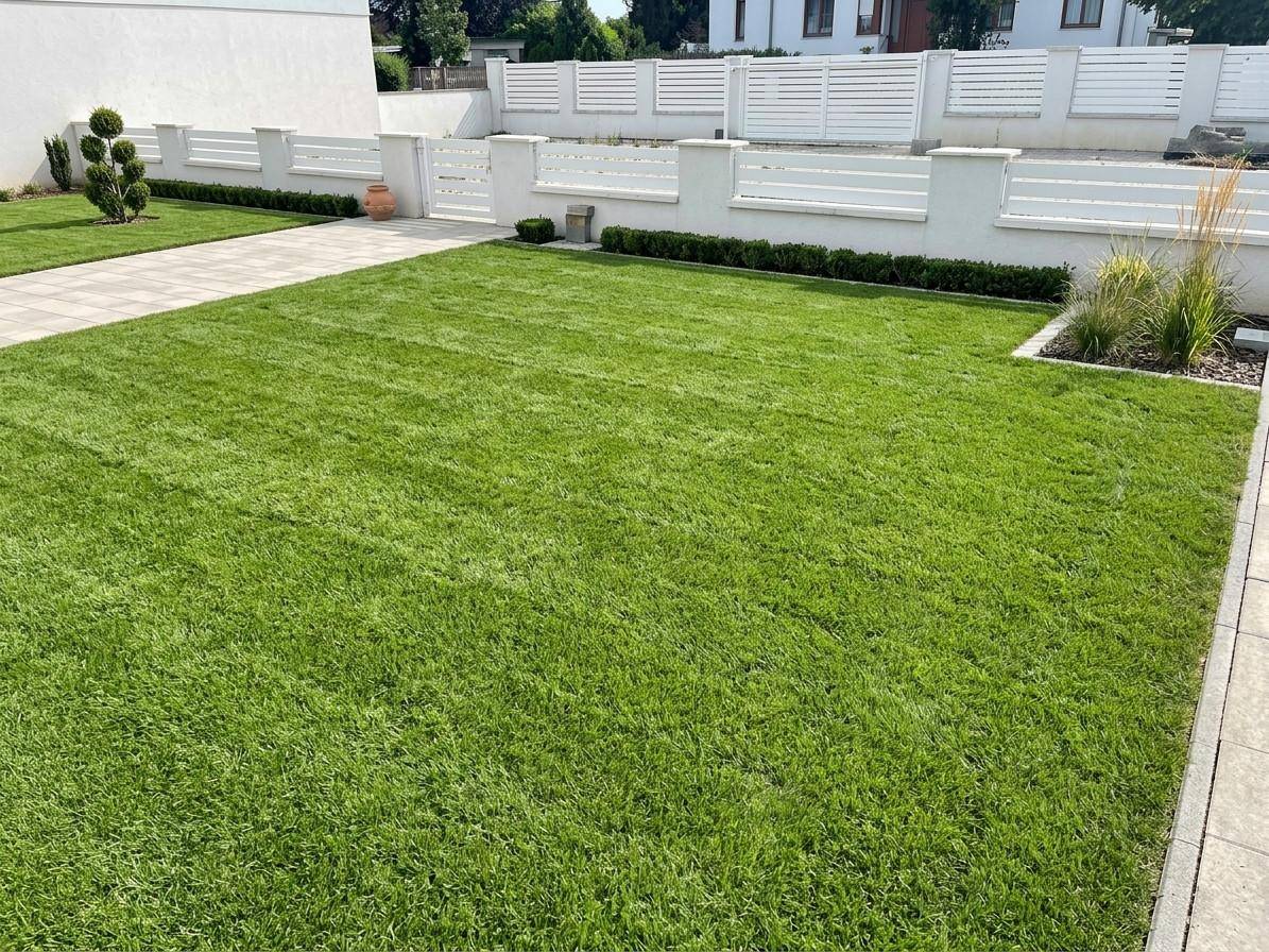 Frisch angelegter Rasenbereich mit gepflastertem Weg und einem modernen weißen Zaun.