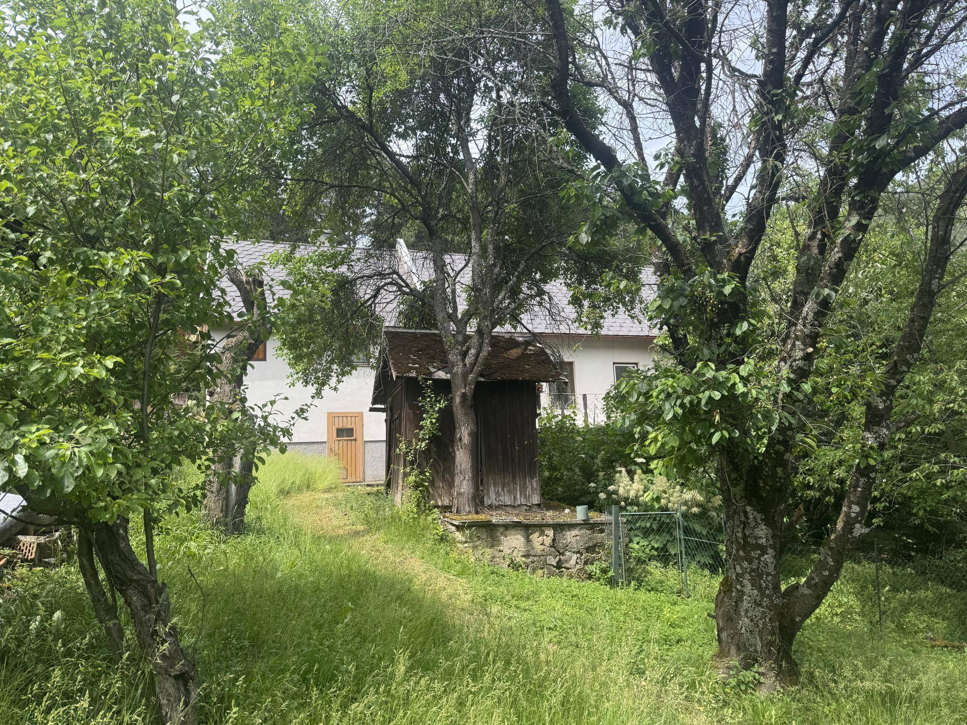 Hausansicht durch Bäume hindurch, mit einem kleinen Holzschuppen im Vordergrund des Gartens.