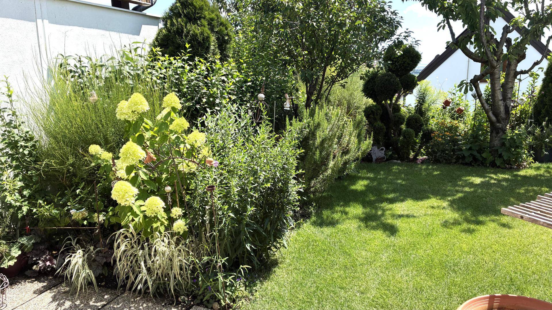 Gepflegter Garten mit grüner Rasenfläche, blühenden Sträuchern und Bäumen.